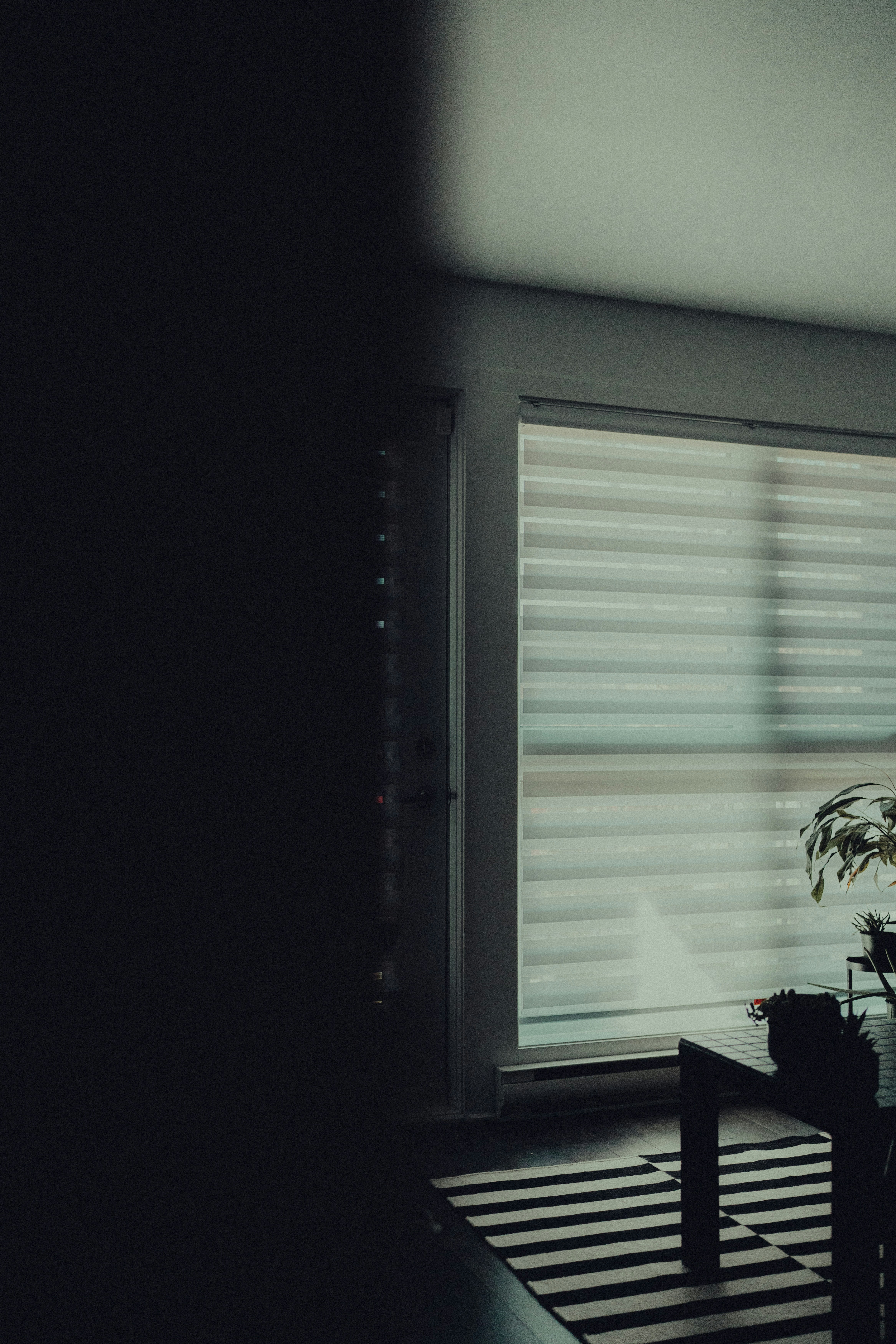 Photo by user90807060