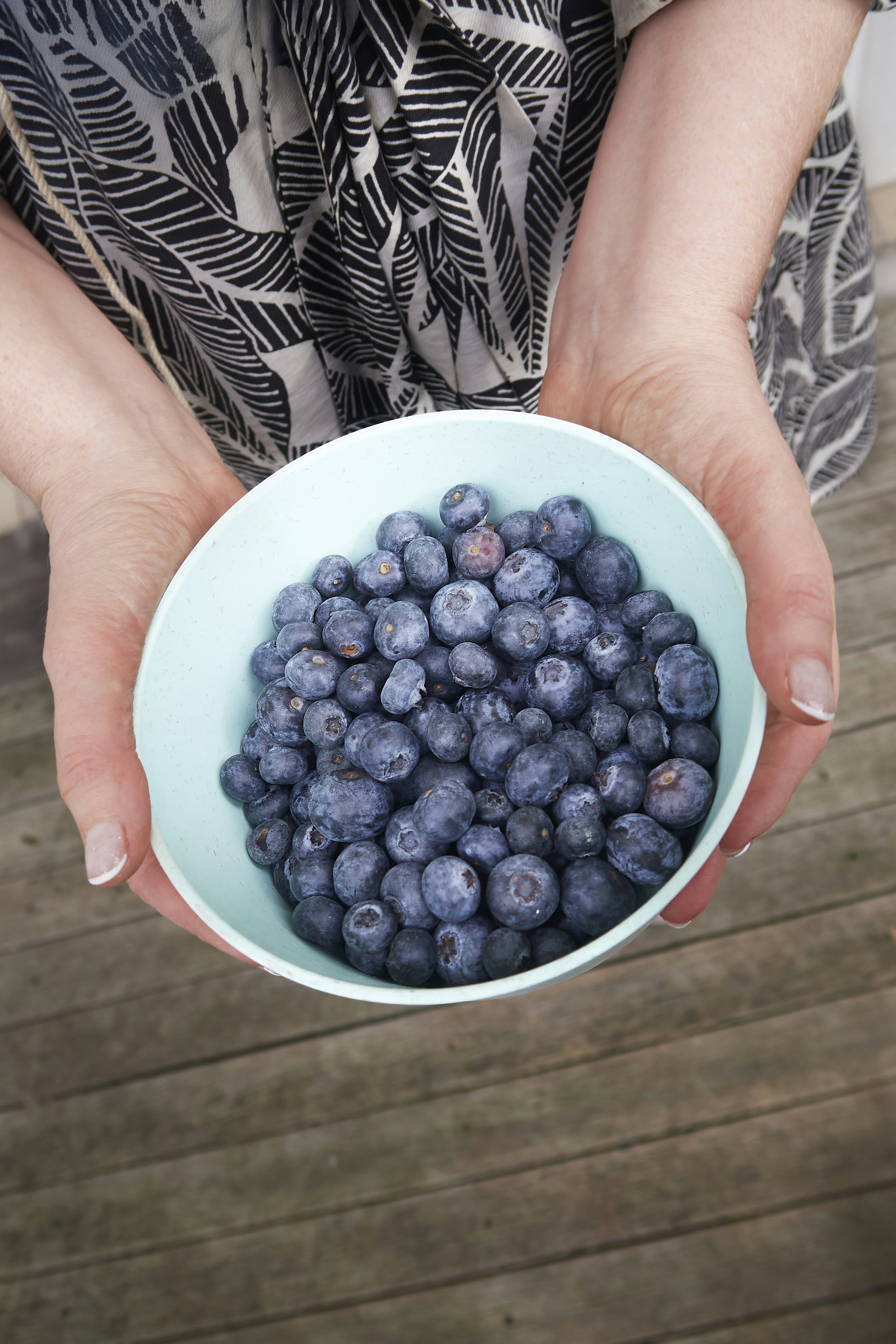 Photo by sapporo2025