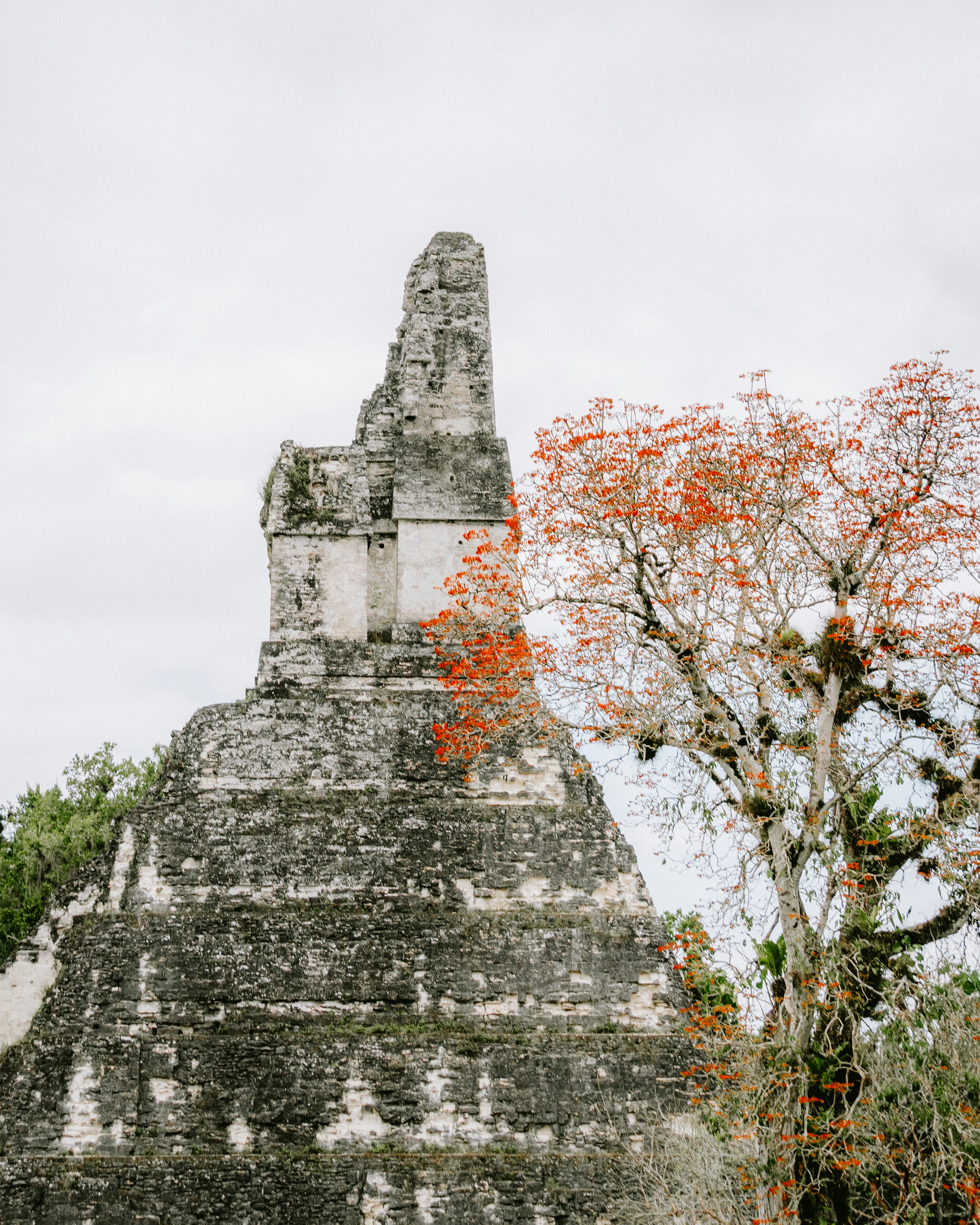 Photo by jaspergribble