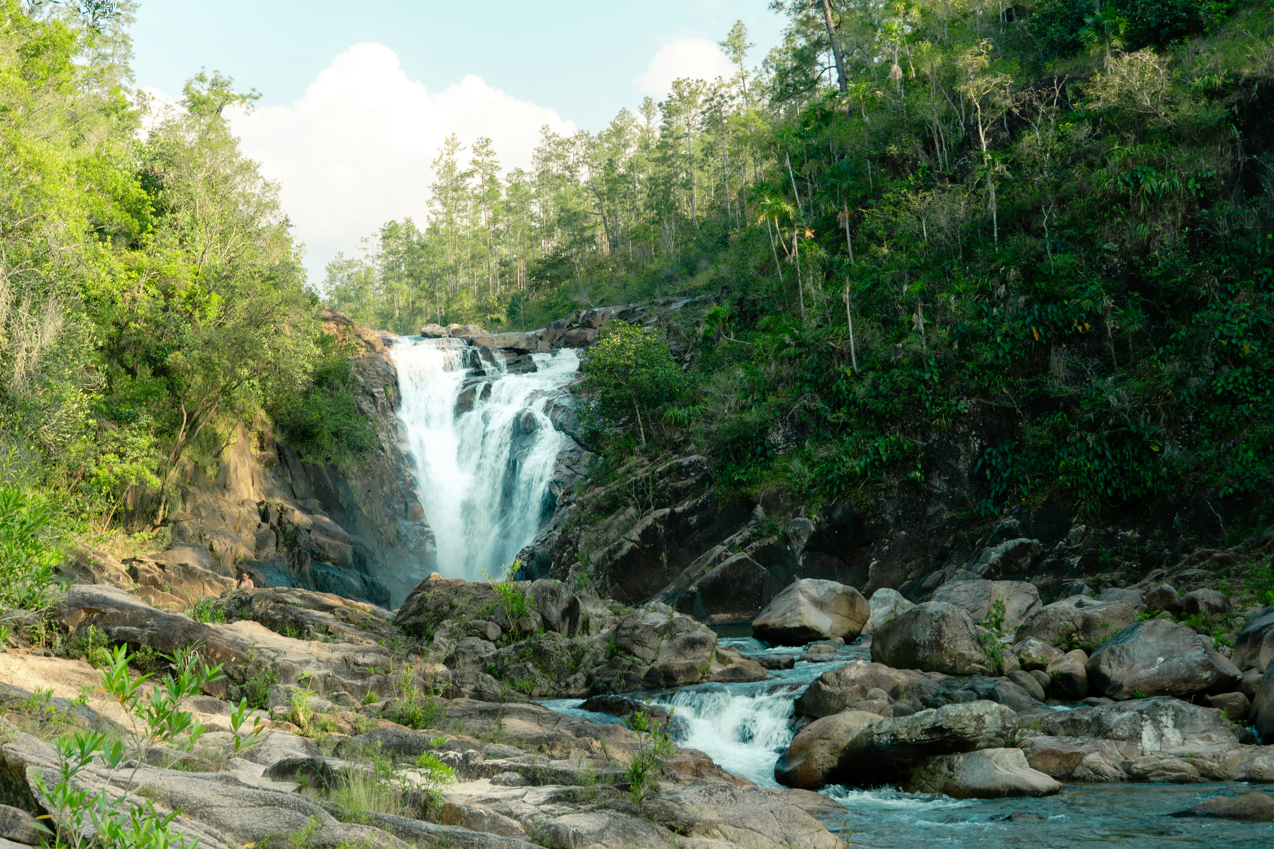 Photo by jaspergribble