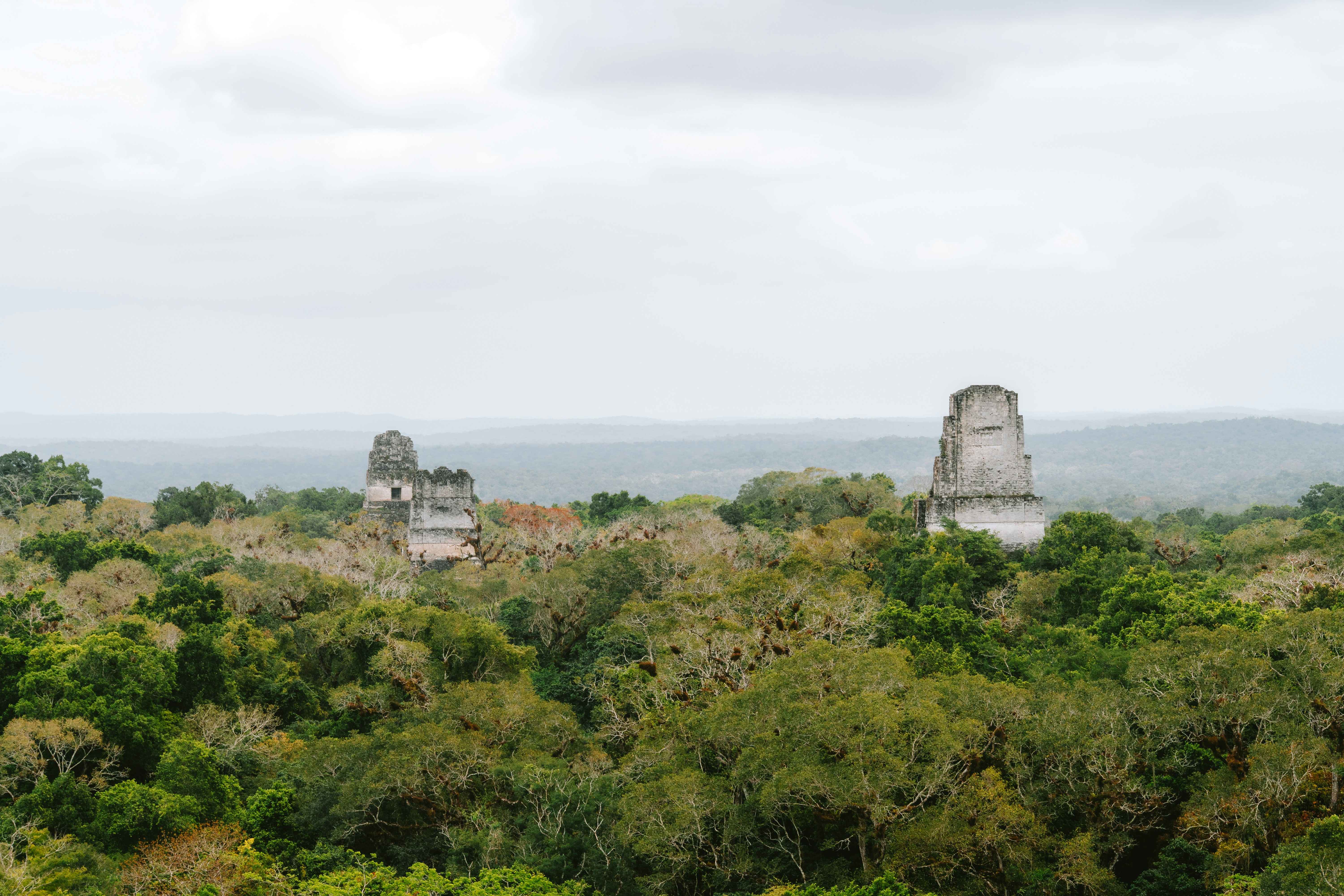 Photo by jaspergribble