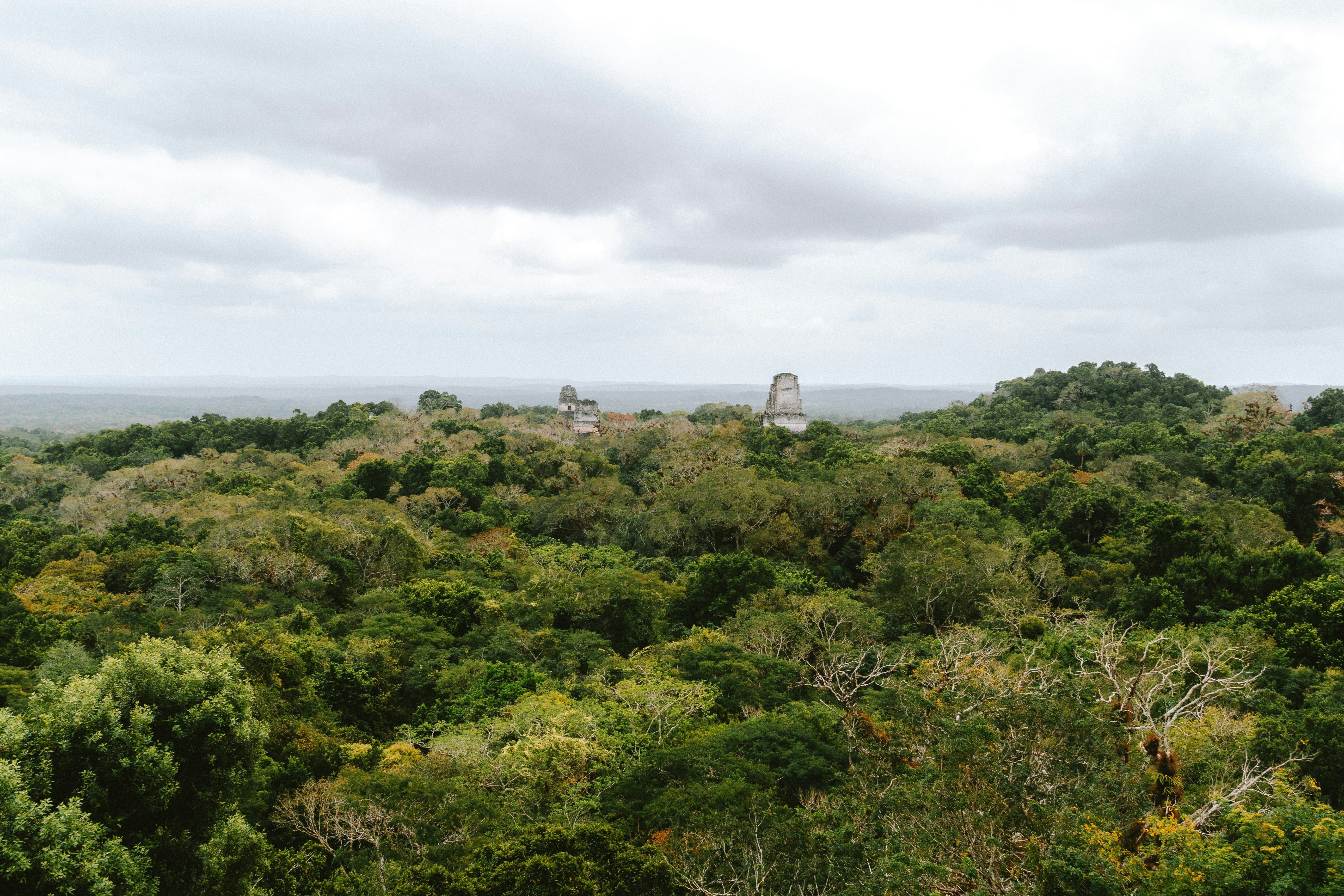 Photo by jaspergribble