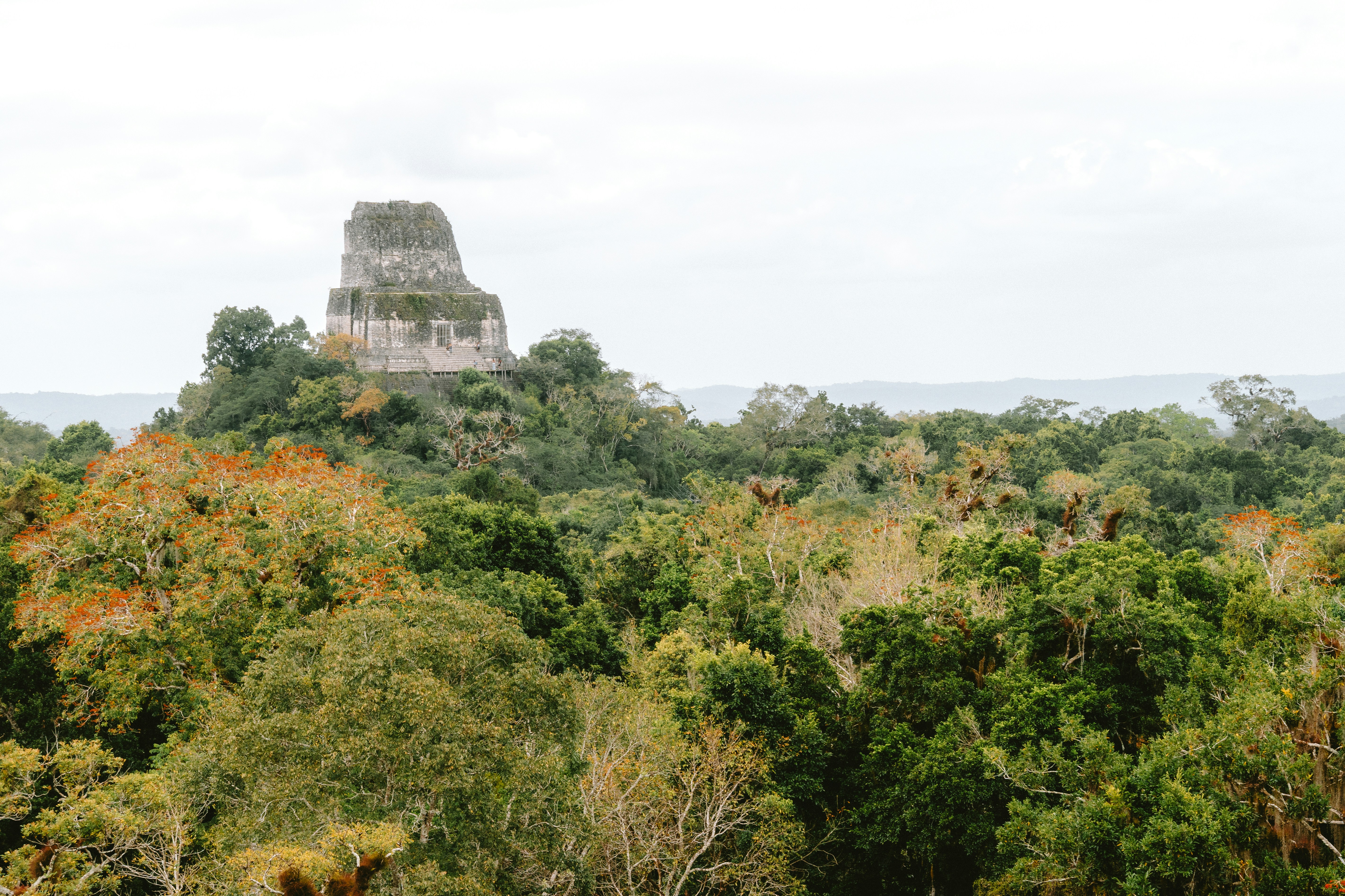 Photo by jaspergribble