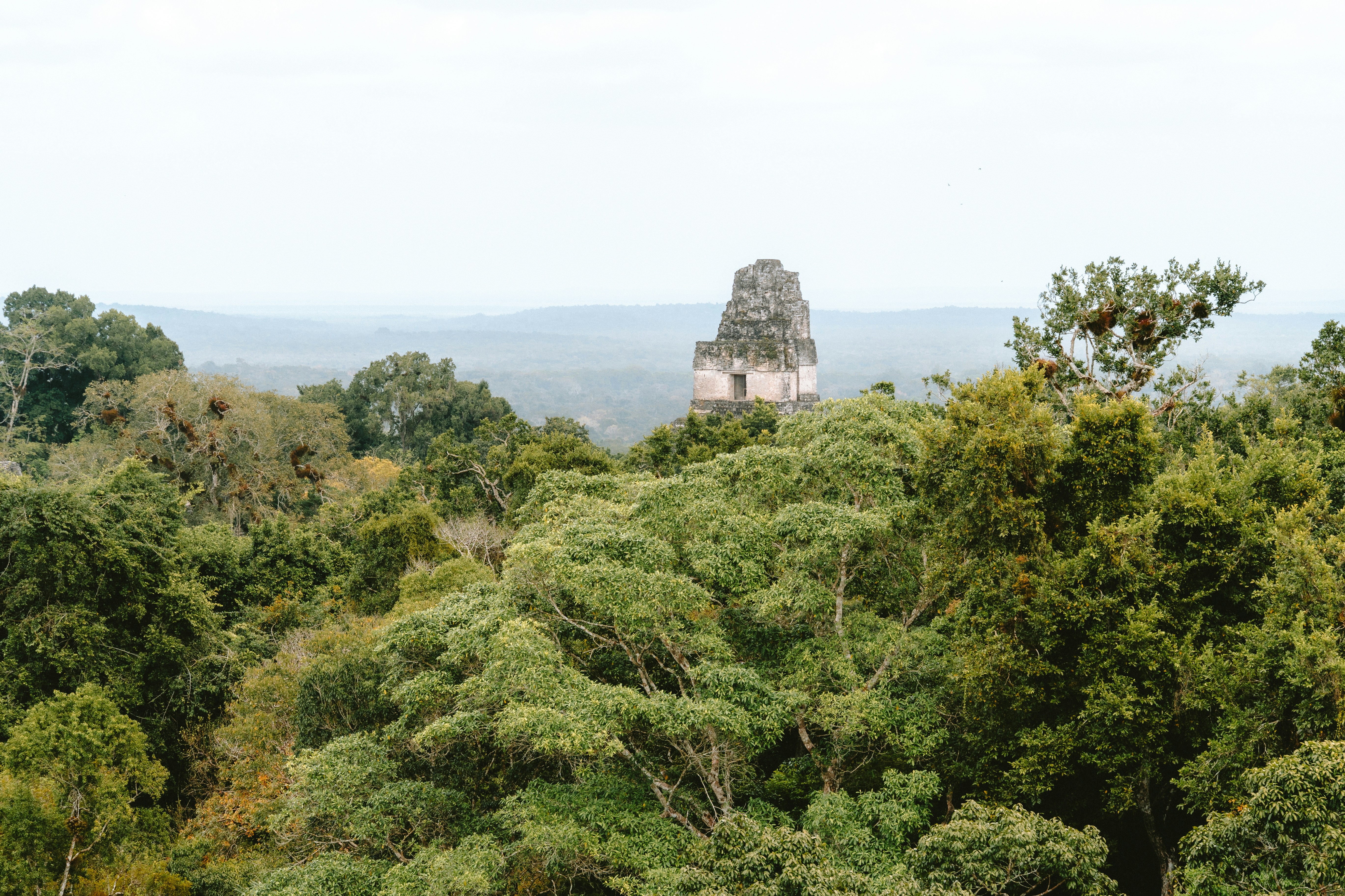 Photo by jaspergribble