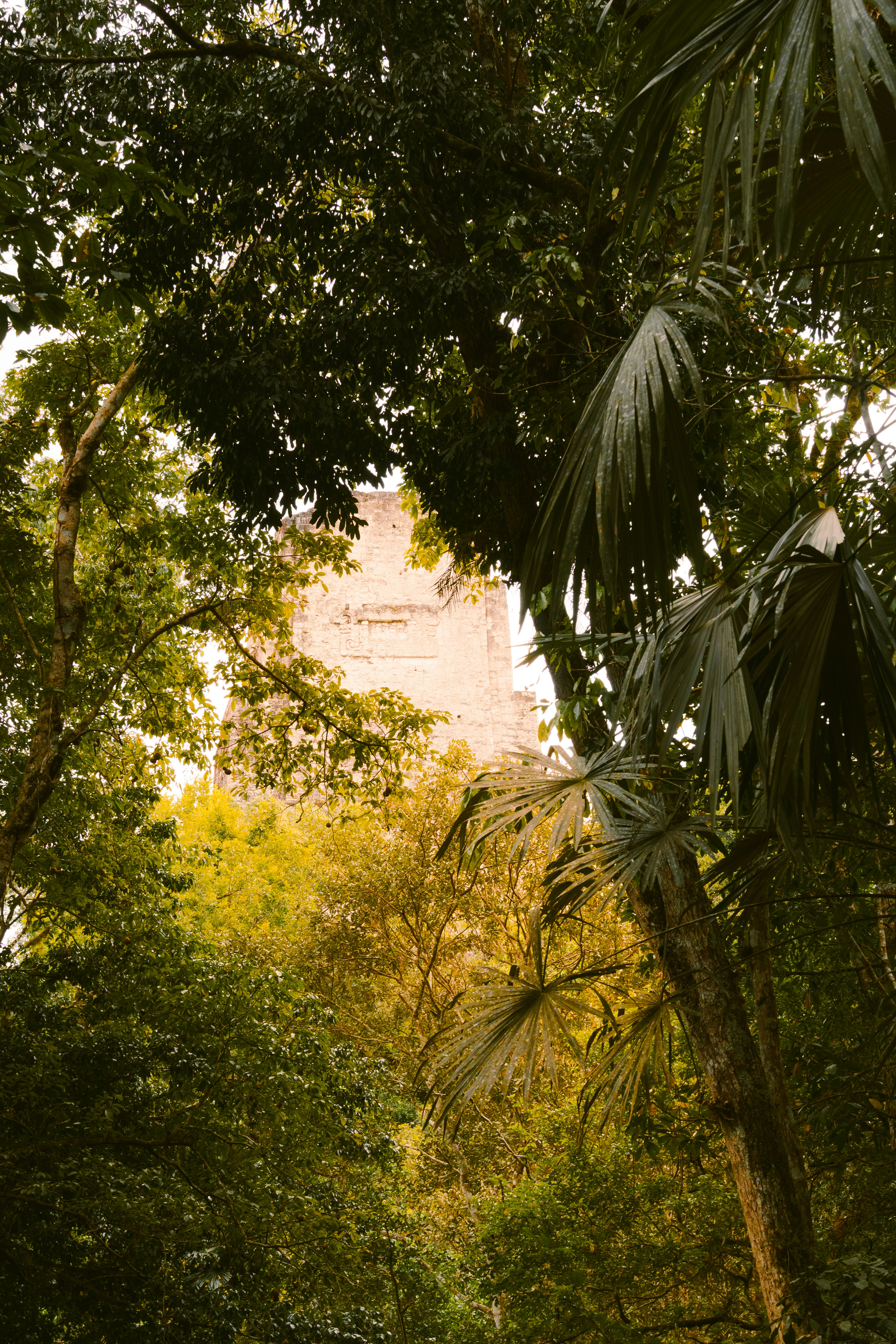 Photo by jaspergribble