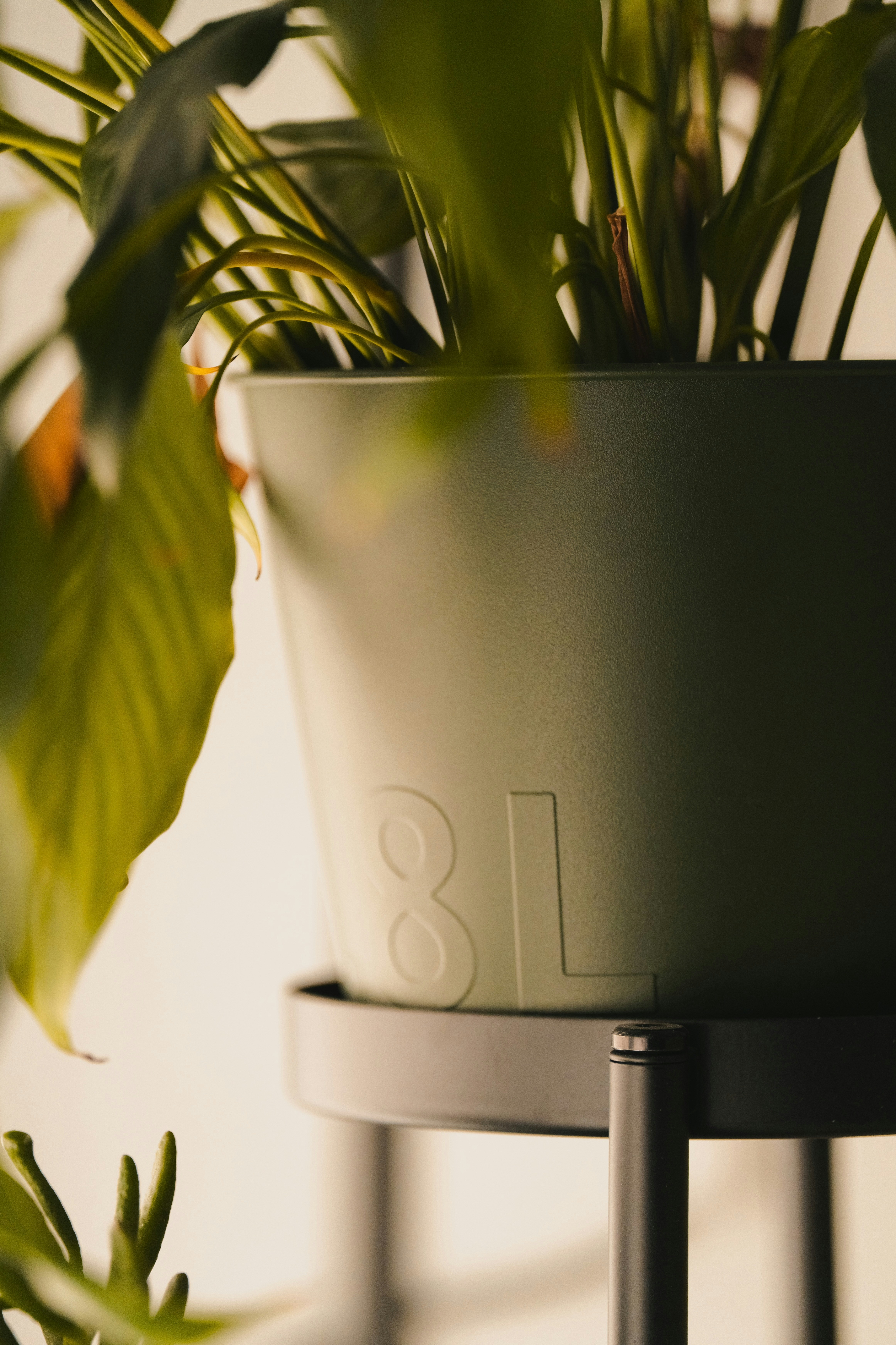 Photo by user90807060