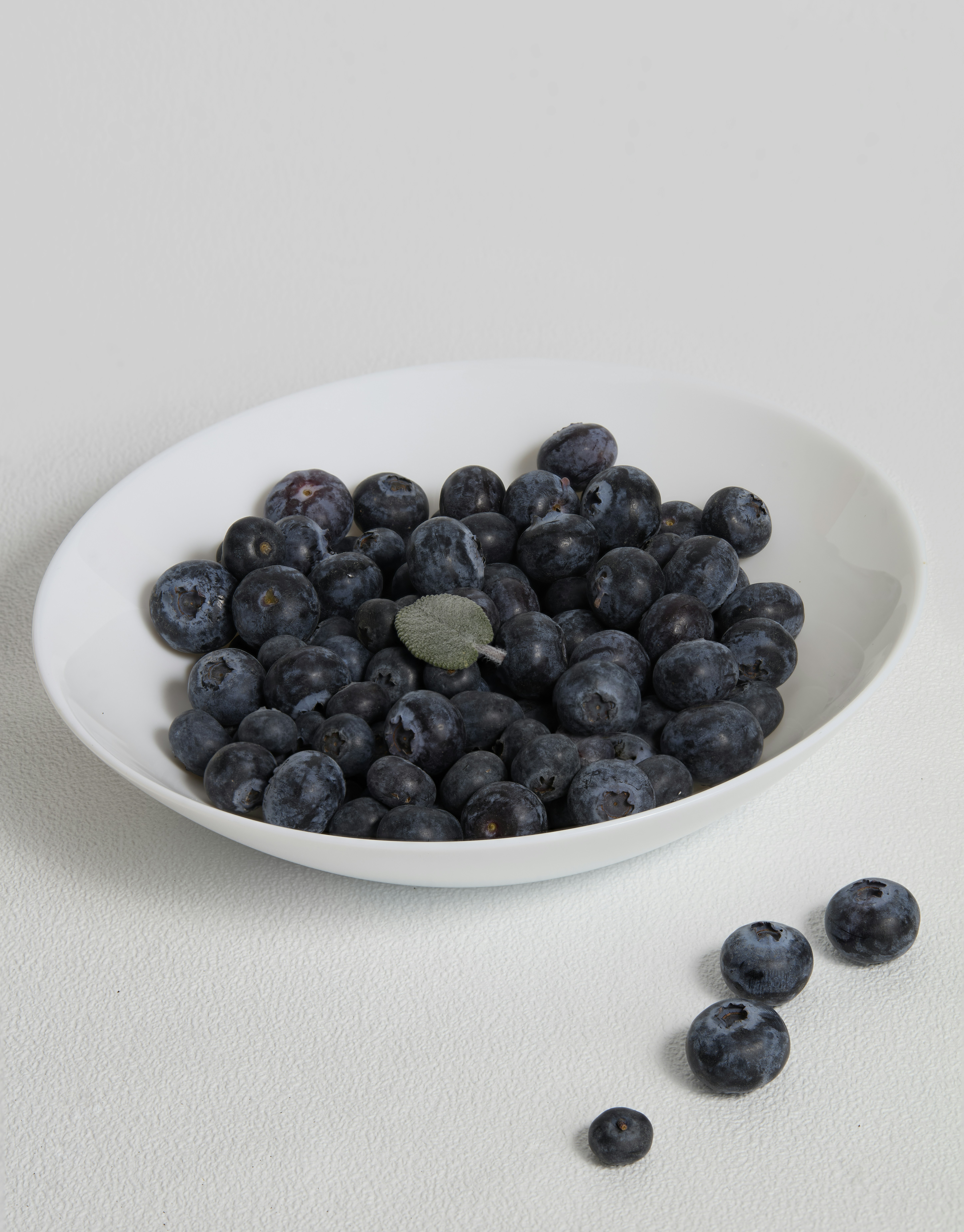 Photo by sapporo2025