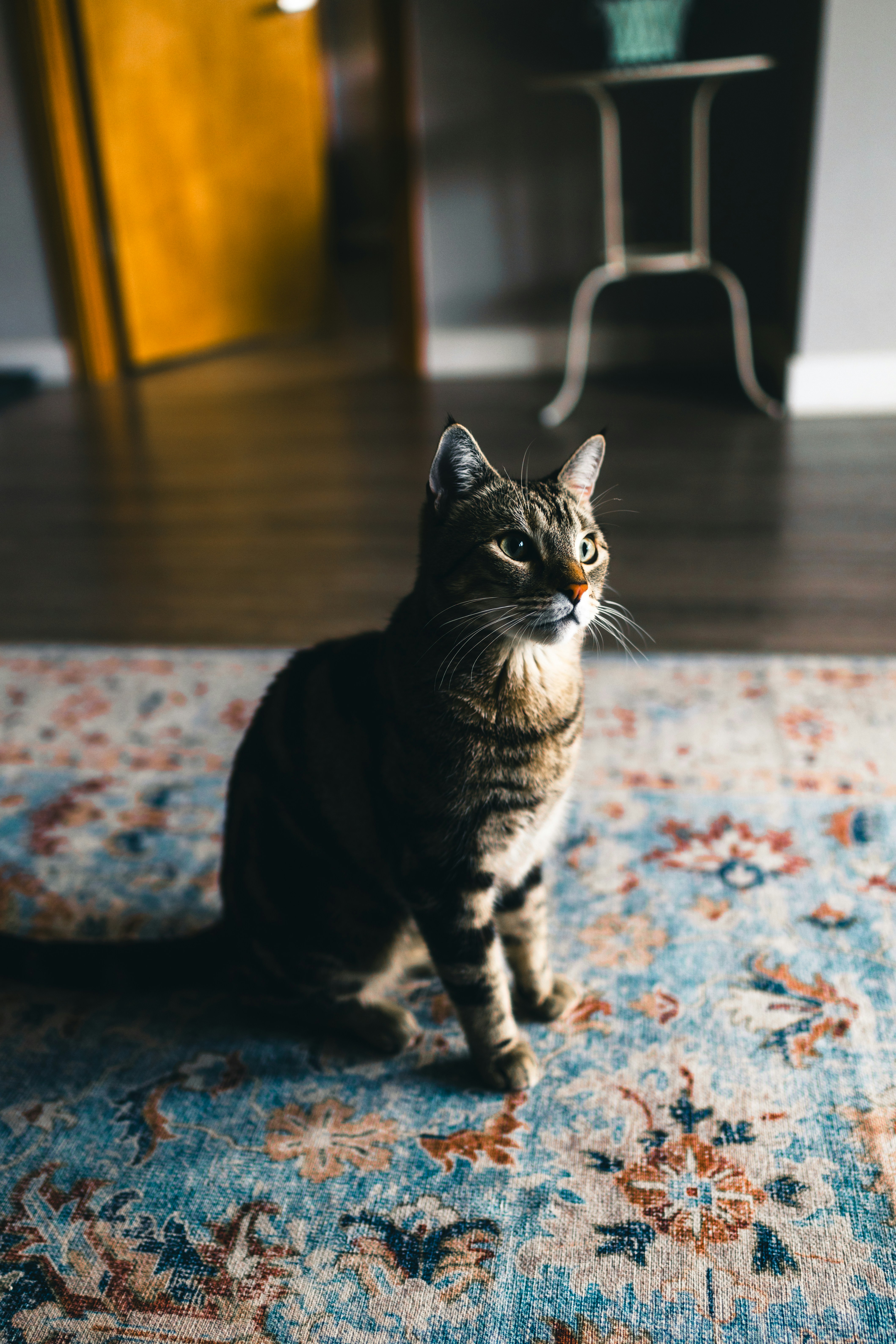 Photo by lureofadventure