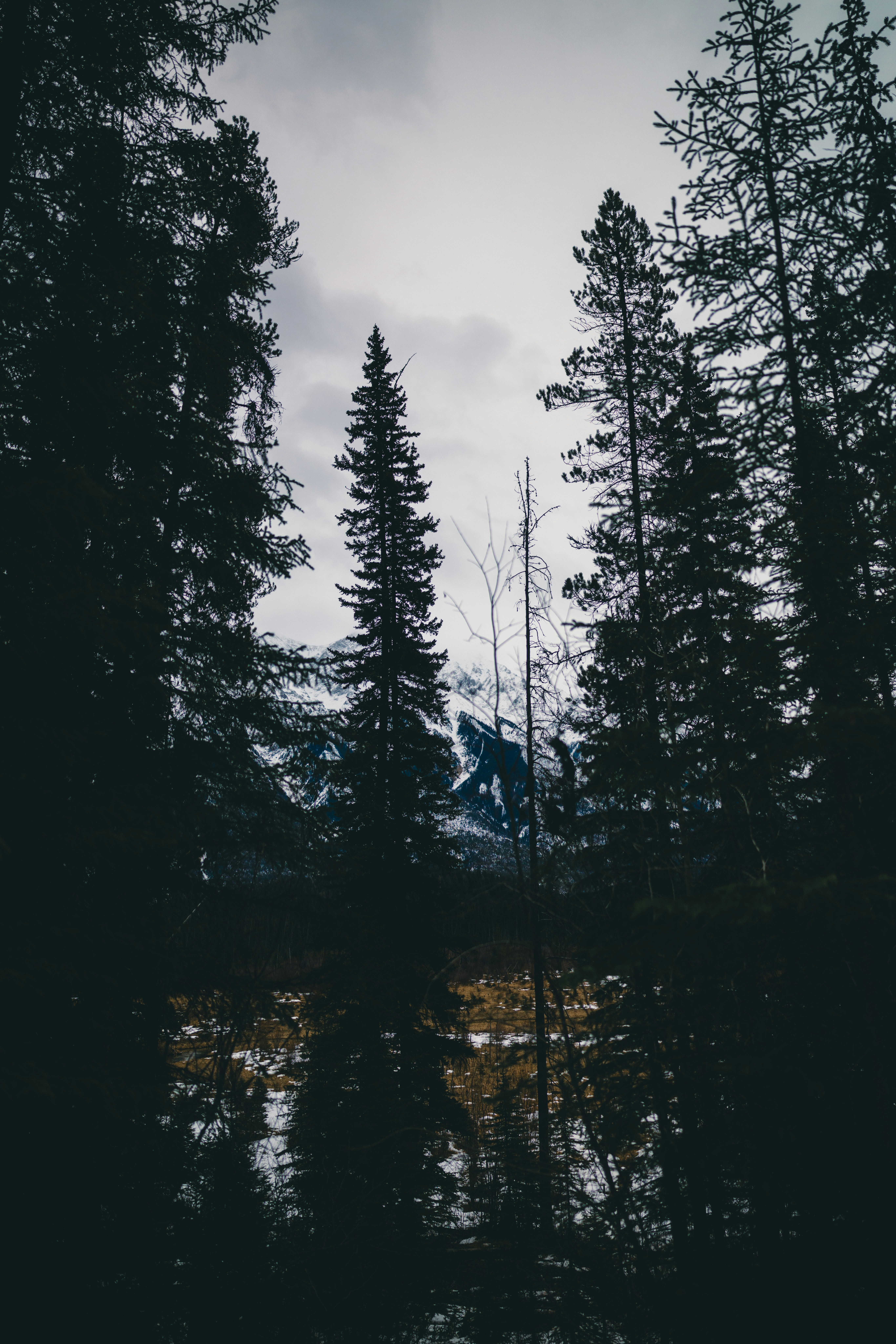 Photo by lureofadventure