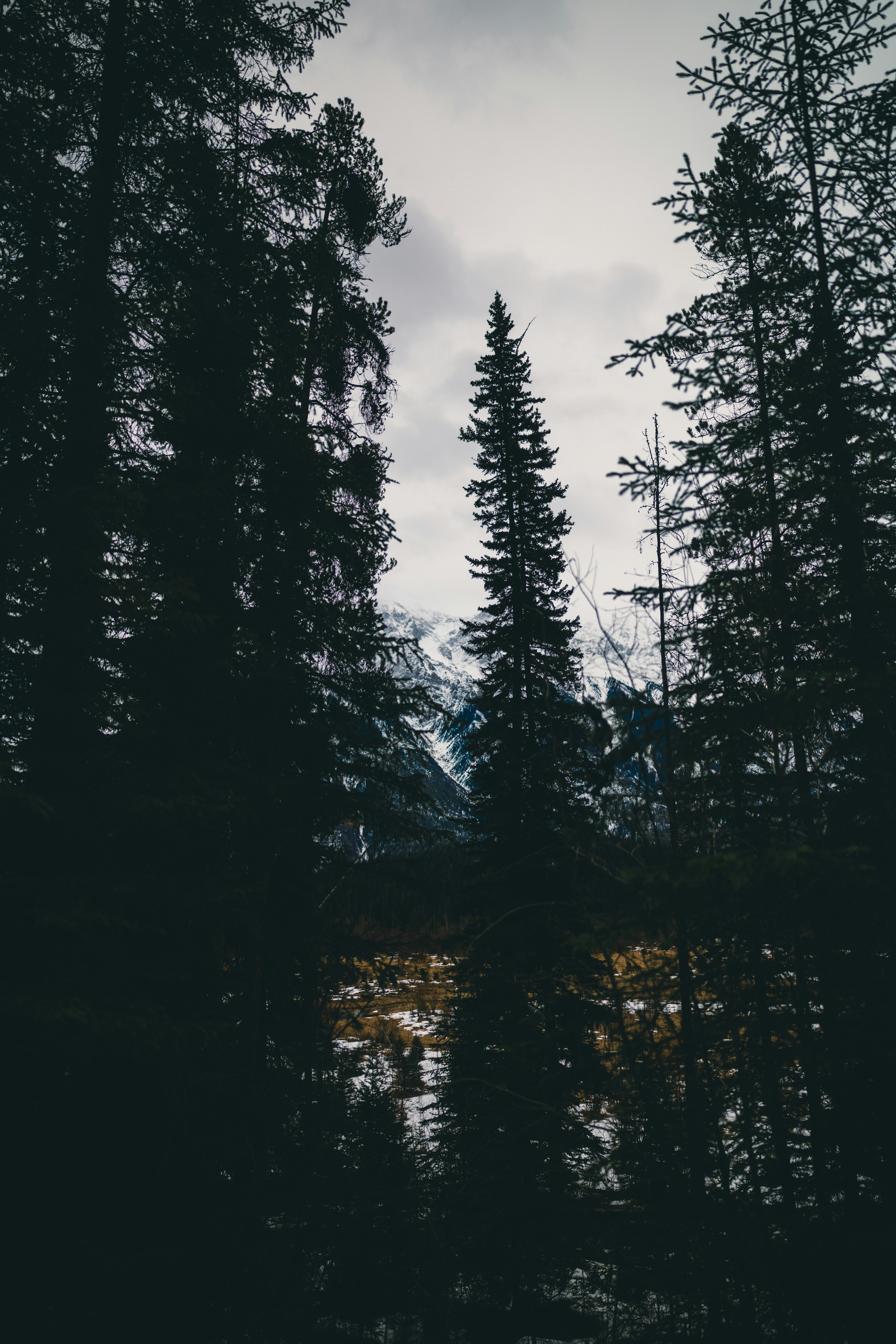 Photo by lureofadventure