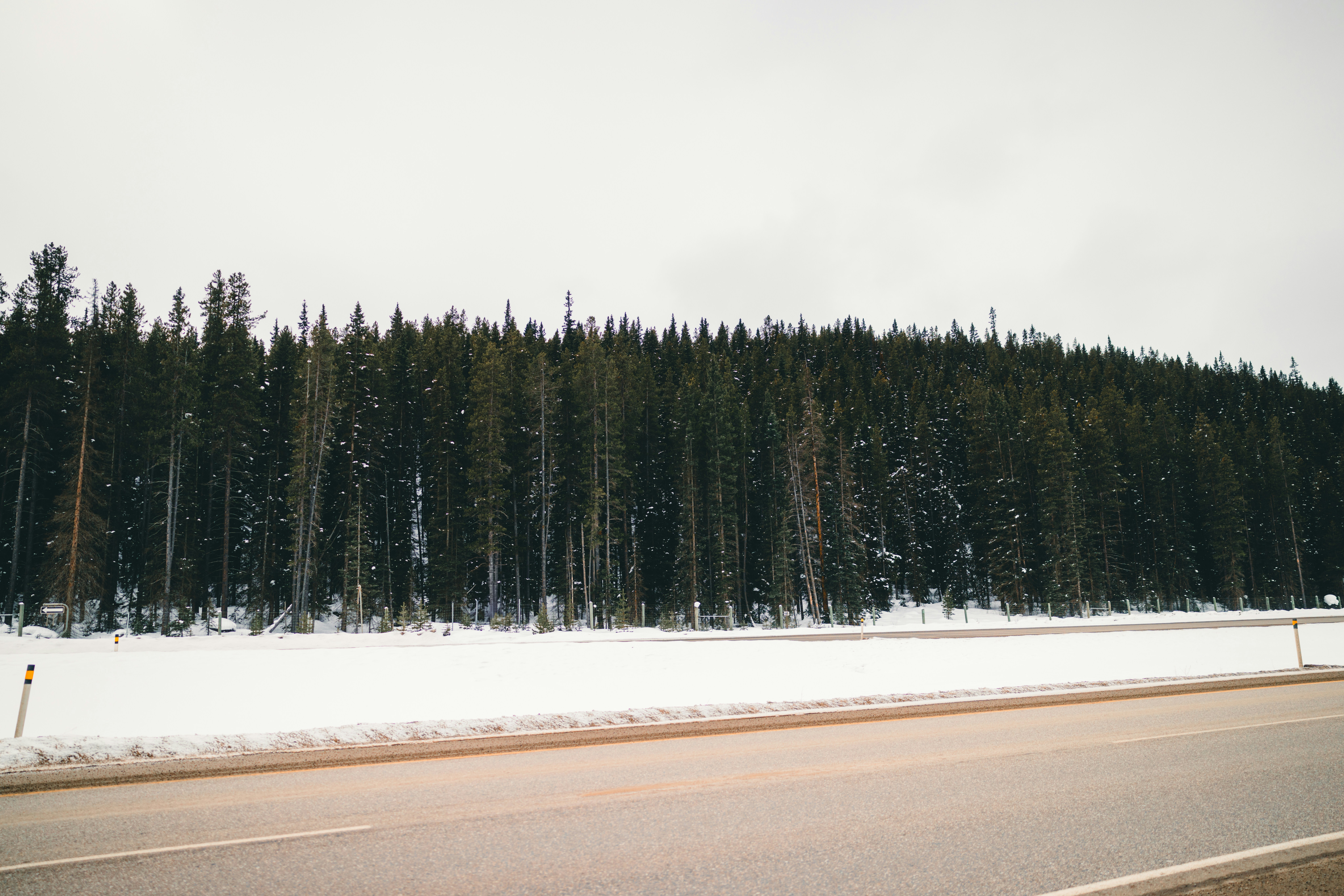 Photo by lureofadventure