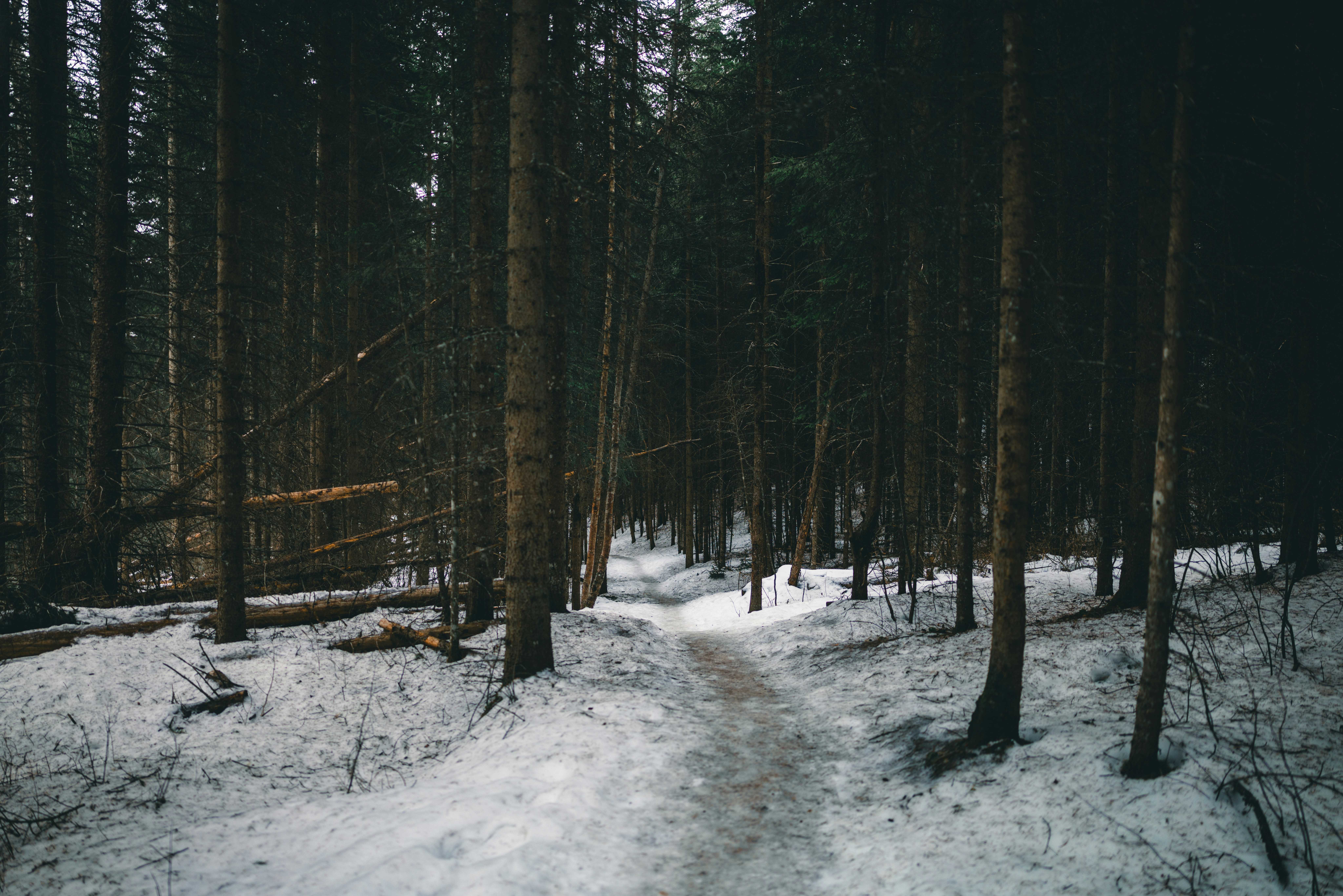 Photo by lureofadventure