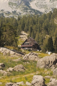 A cabin nestled amidst trees and mountains.