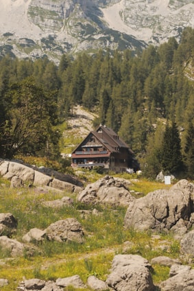 A cabin nestled amidst trees and mountains.