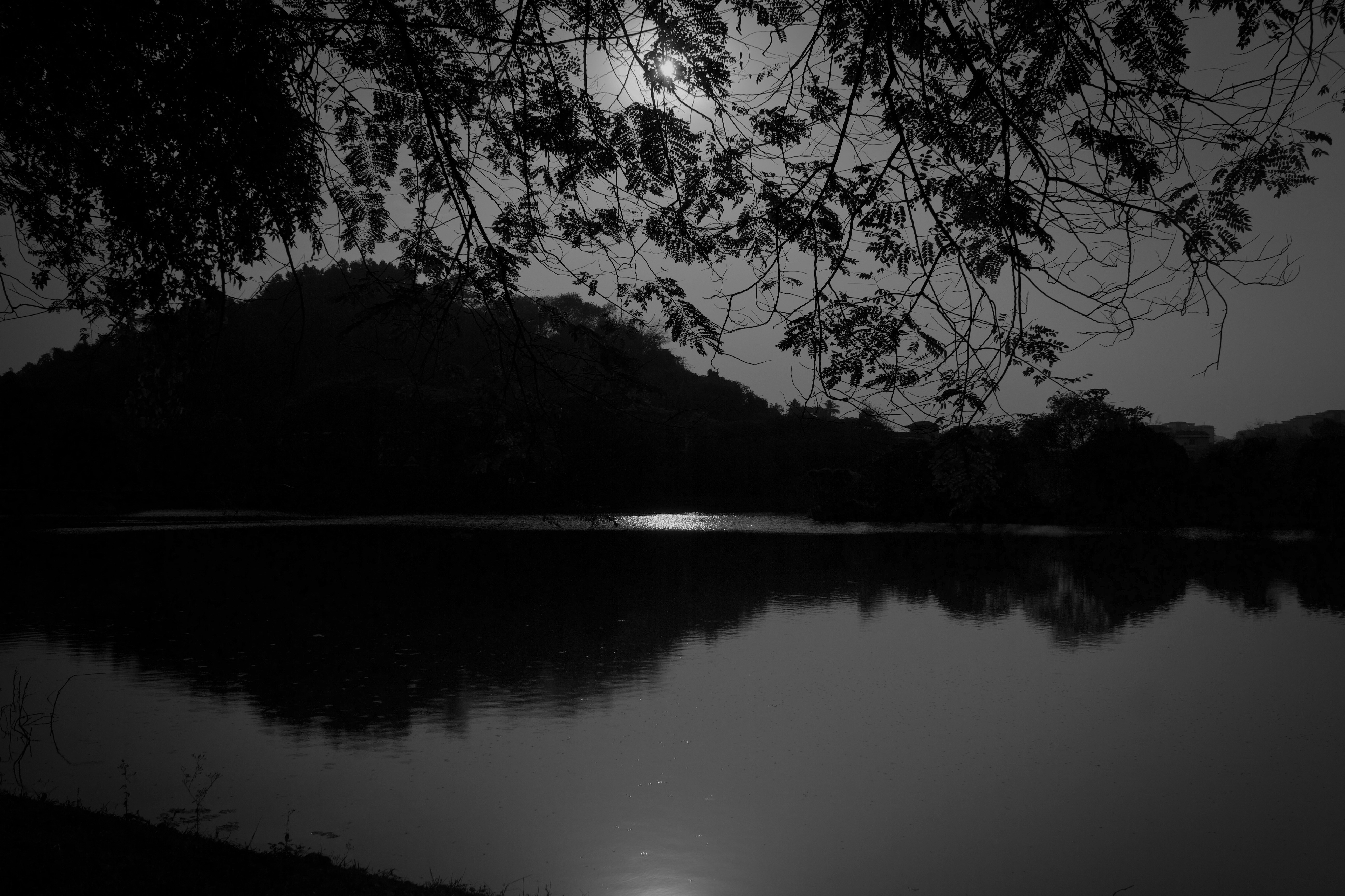 Photo by that_bored_beast