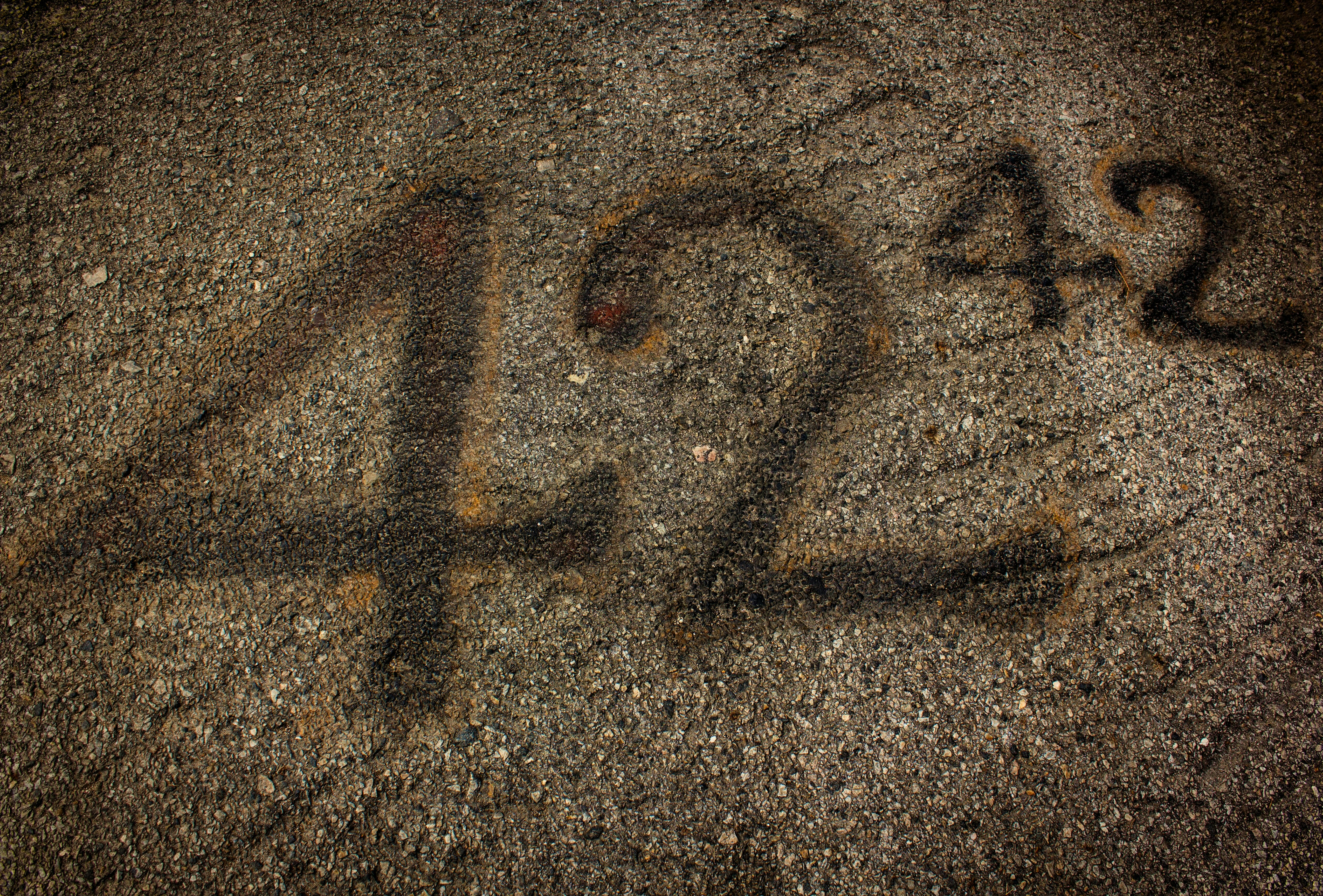 Tajomstvo Harshadových čísel: zábavná matematika