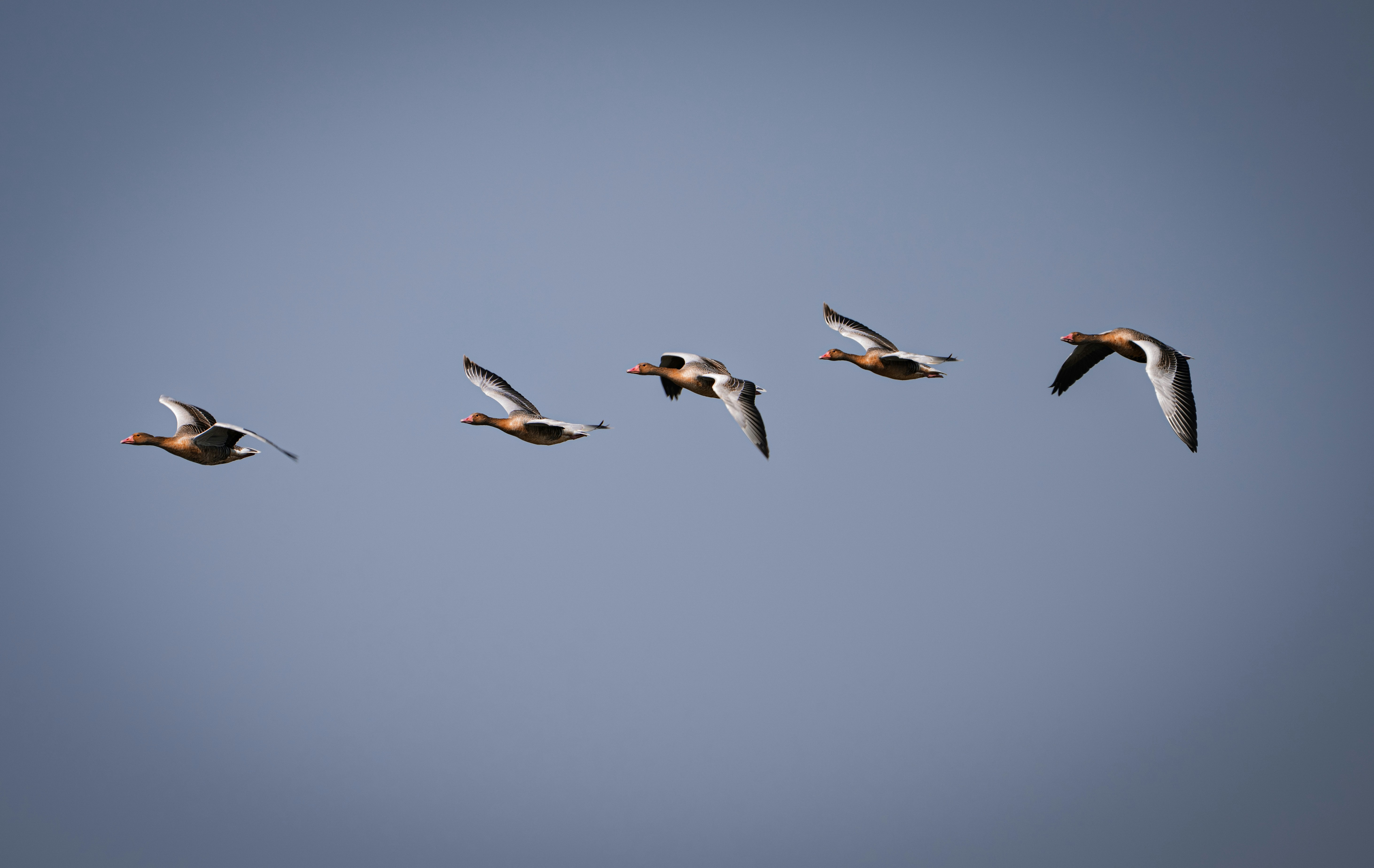 Photo by anubhavsonker