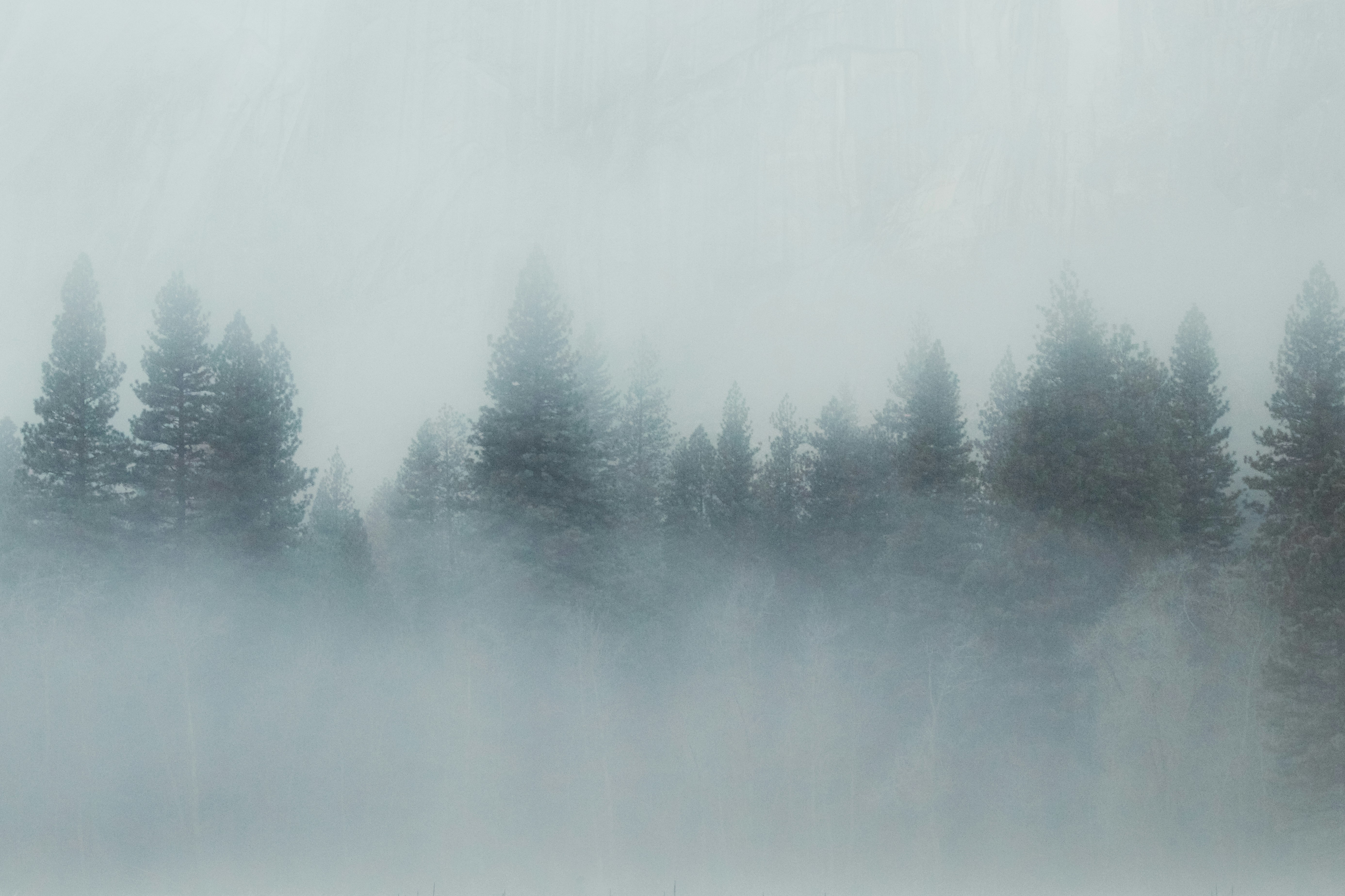 Discover A Variety Of Classic Cars Offered Up For Sale, Combining The Ageless Appeal Of Classic Style With The Practicality Of Contemporary Functions. Allow Your Automotive Excitement Shine As You Discover Our Elegant Collection Today!