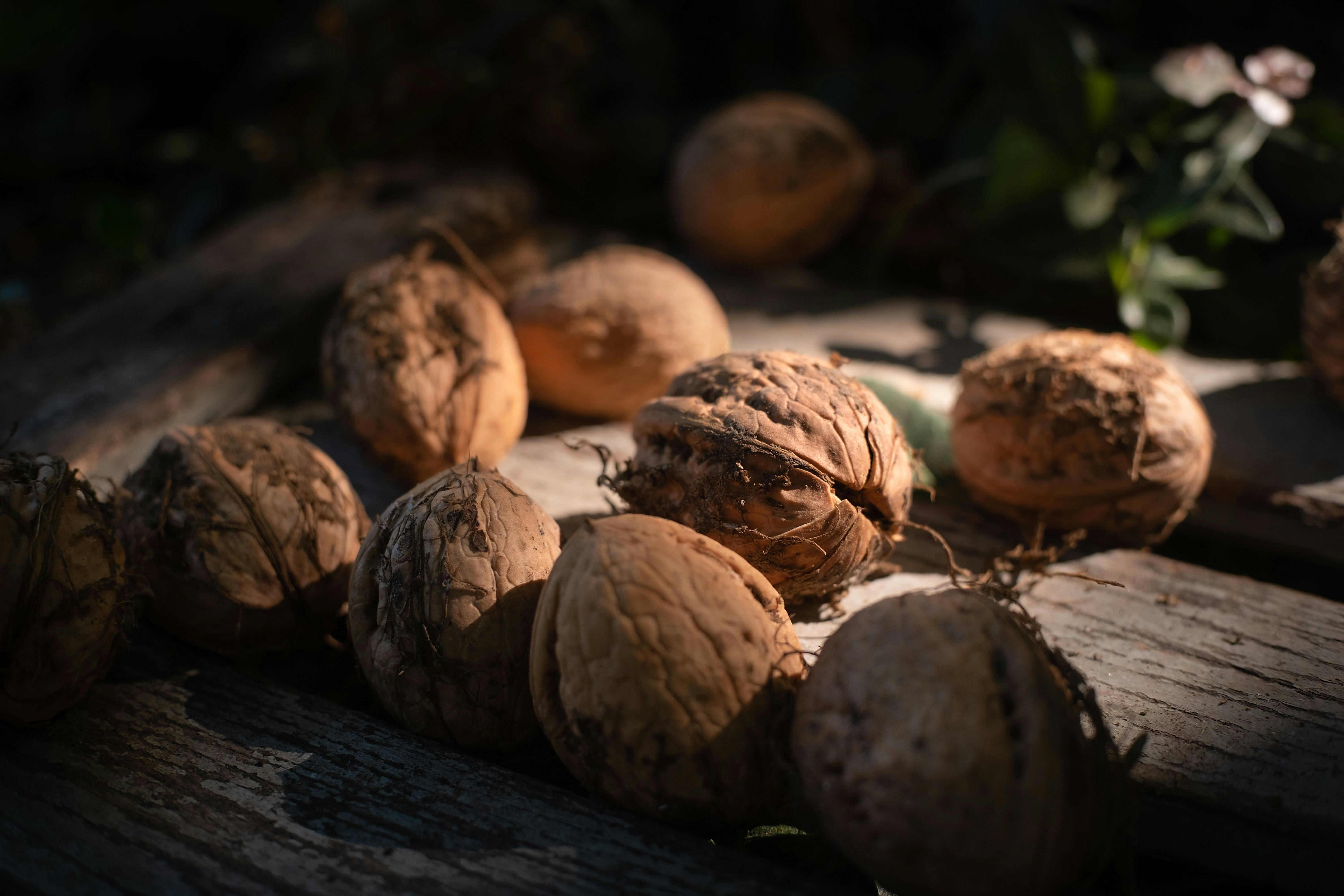 Photo by sevencolors