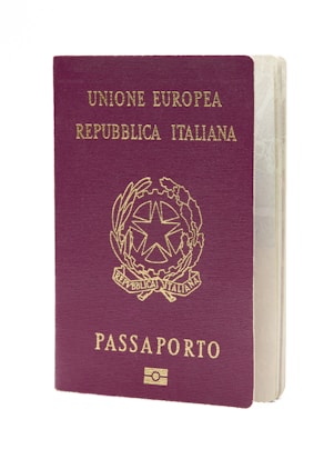 general visa document translation