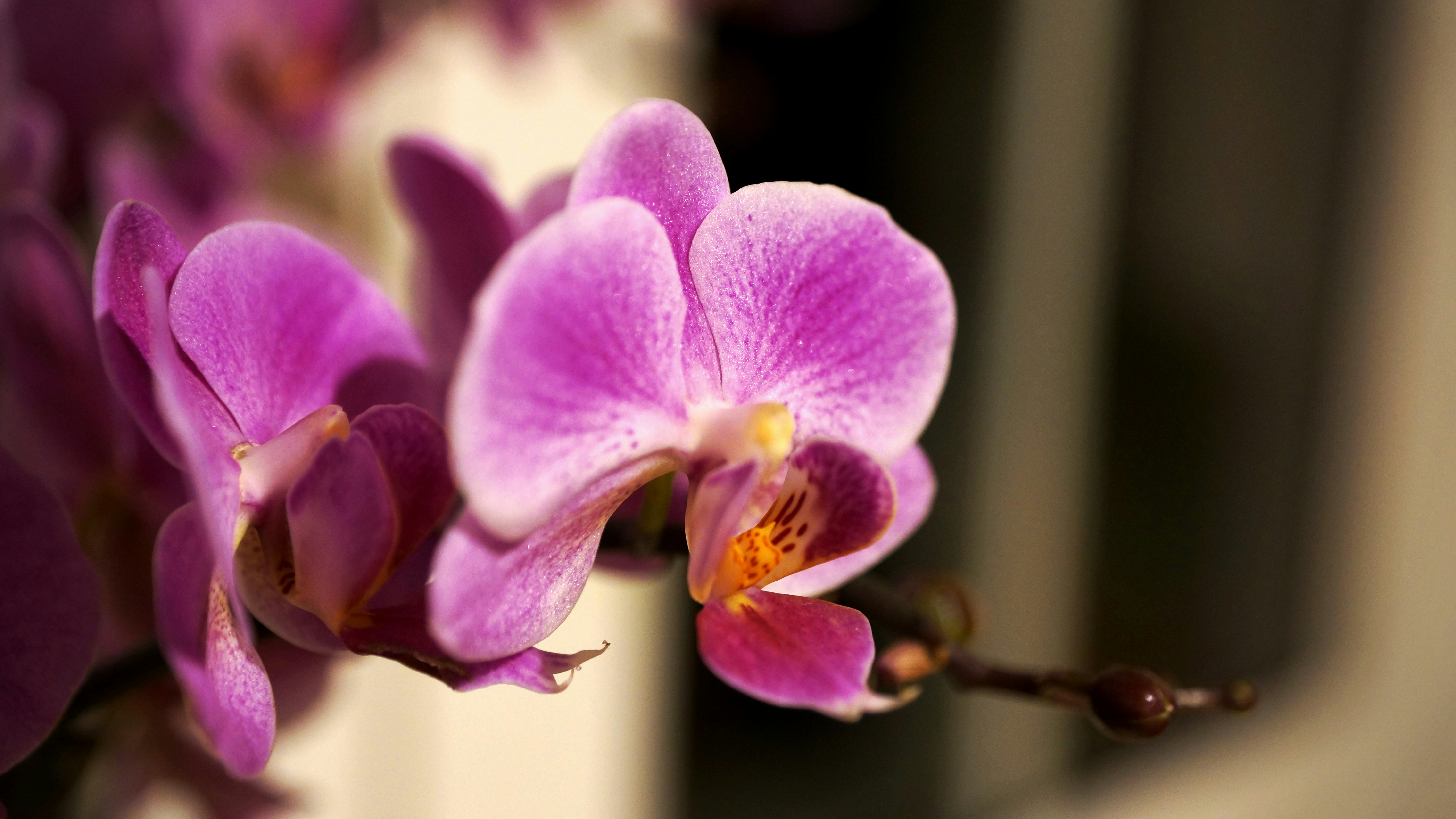 Photo by silasmagschnitzel