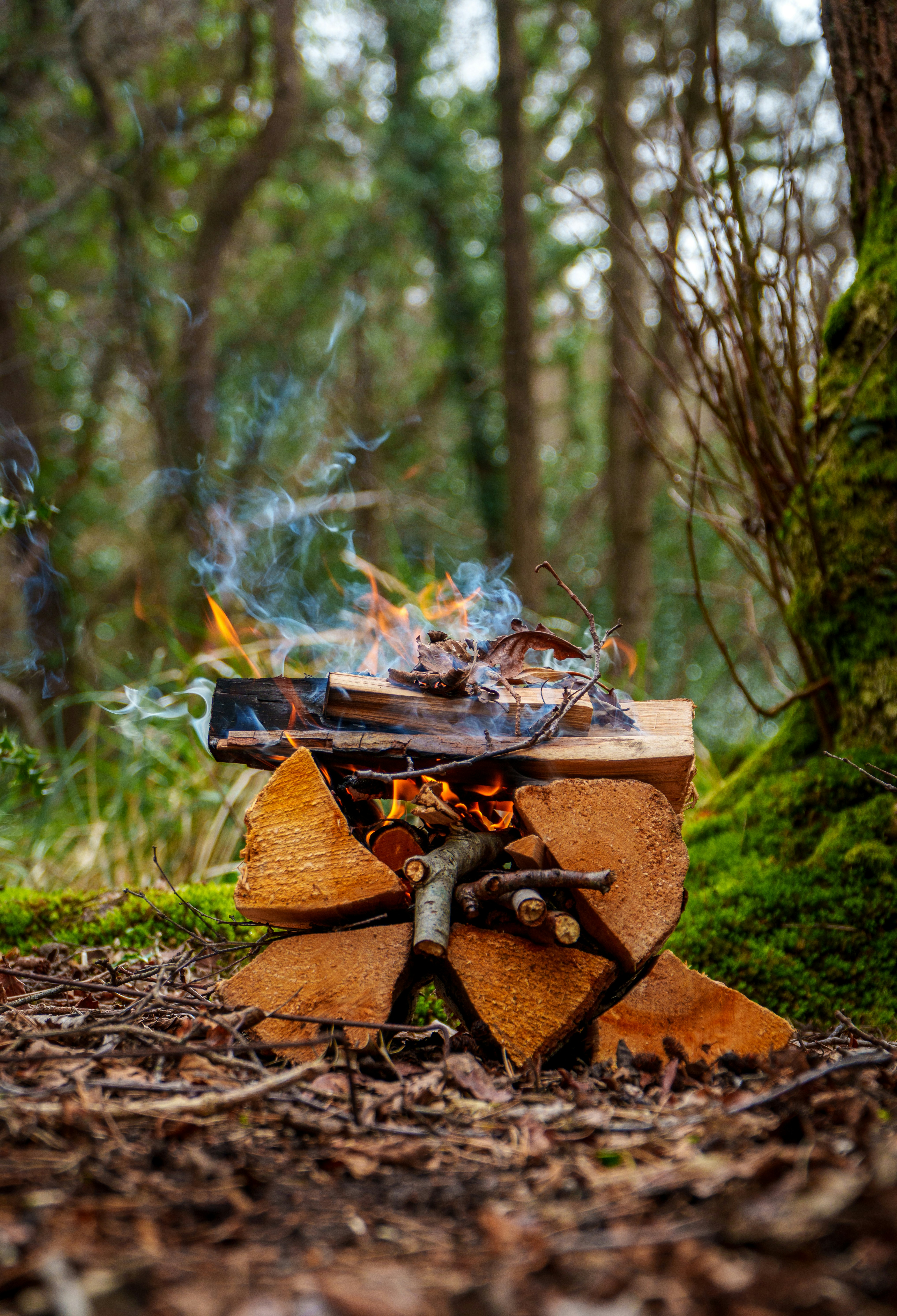 Habilidades de pionerismo
