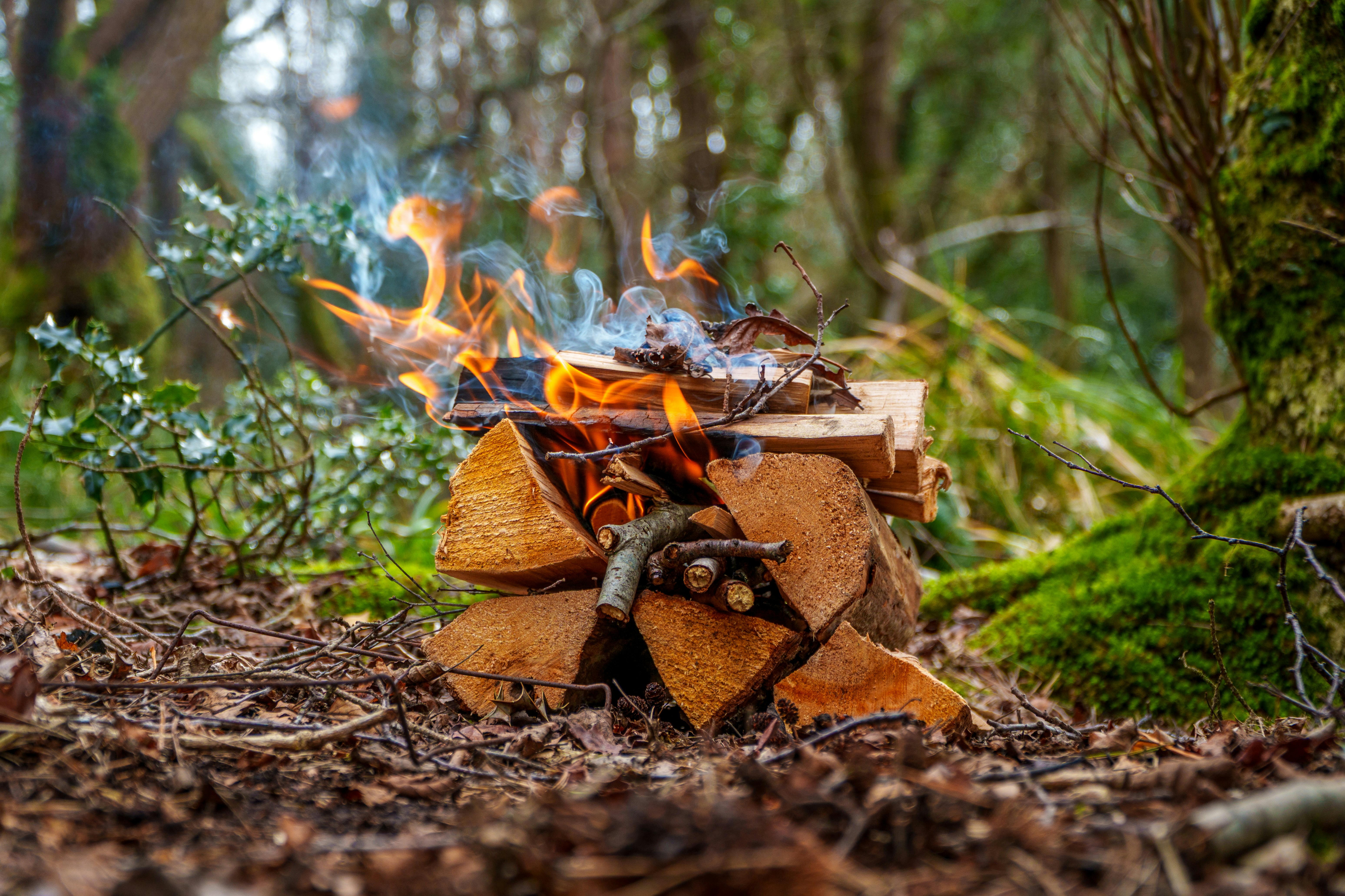 photo 1743194461632 2c6131cca9fe?crop=entropy&cs=tinysrgb&fit=max&fm=jpg&ixid=M3w1MjQ0NjR8MHwxfHNlYXJjaHw4fHxGdWVsJTIwSW5qZWN0b3J8ZW58MHwwfHx8MTc0ODA0NzQ4M3ww&ixlib=rb 4.1