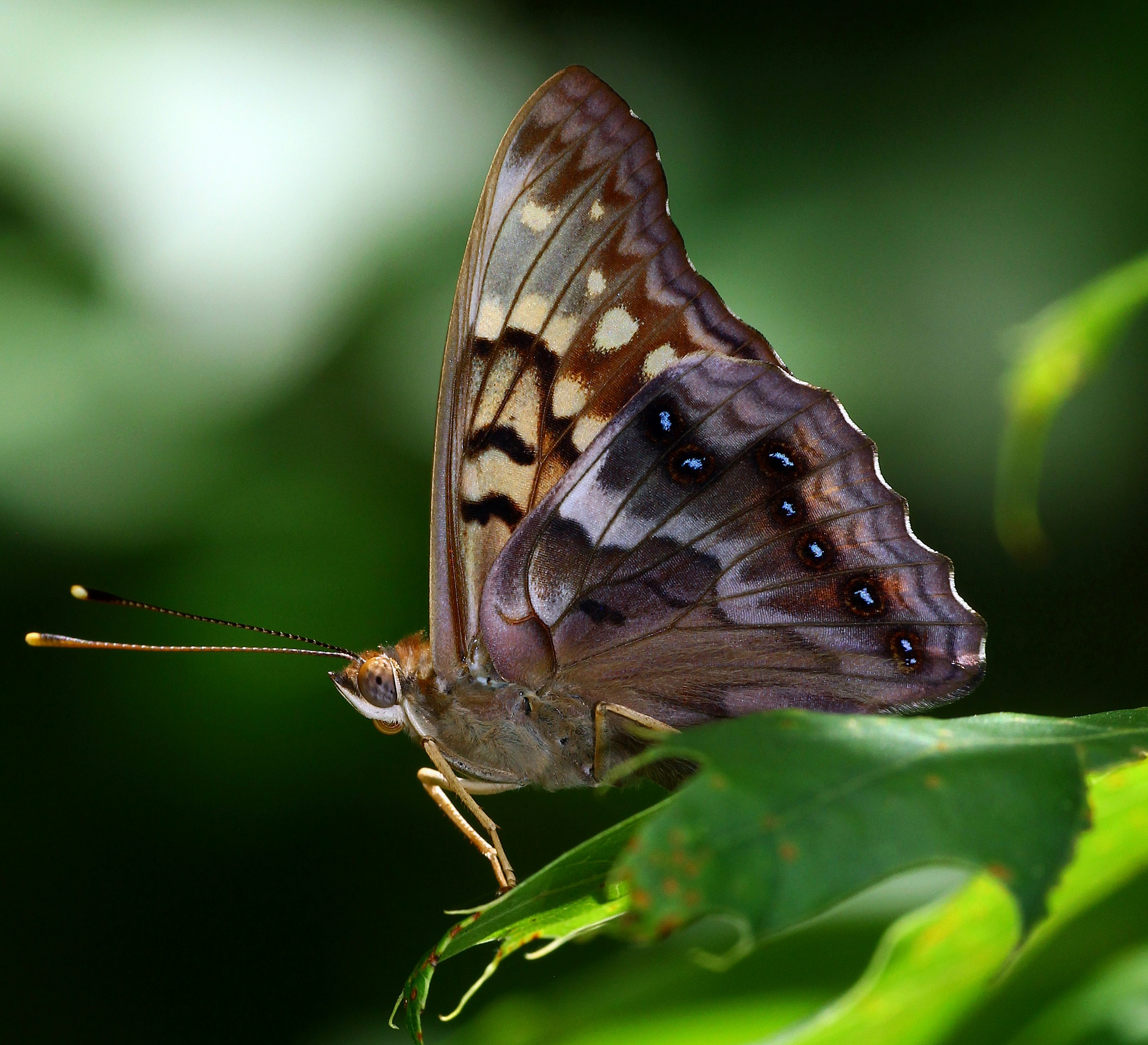 Photo by telliottmbamsc