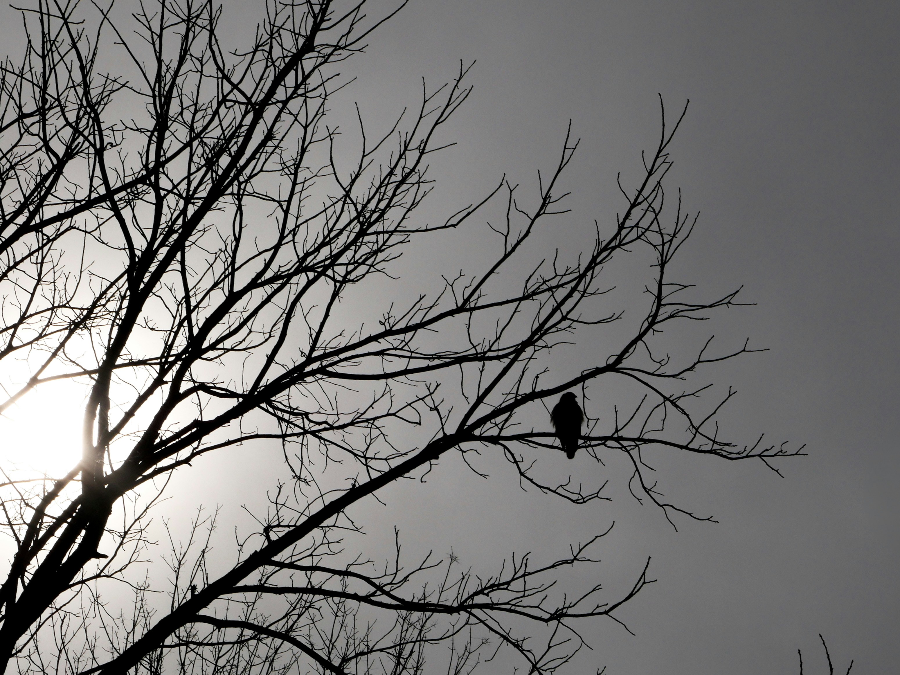 Photo by _zash_capturing