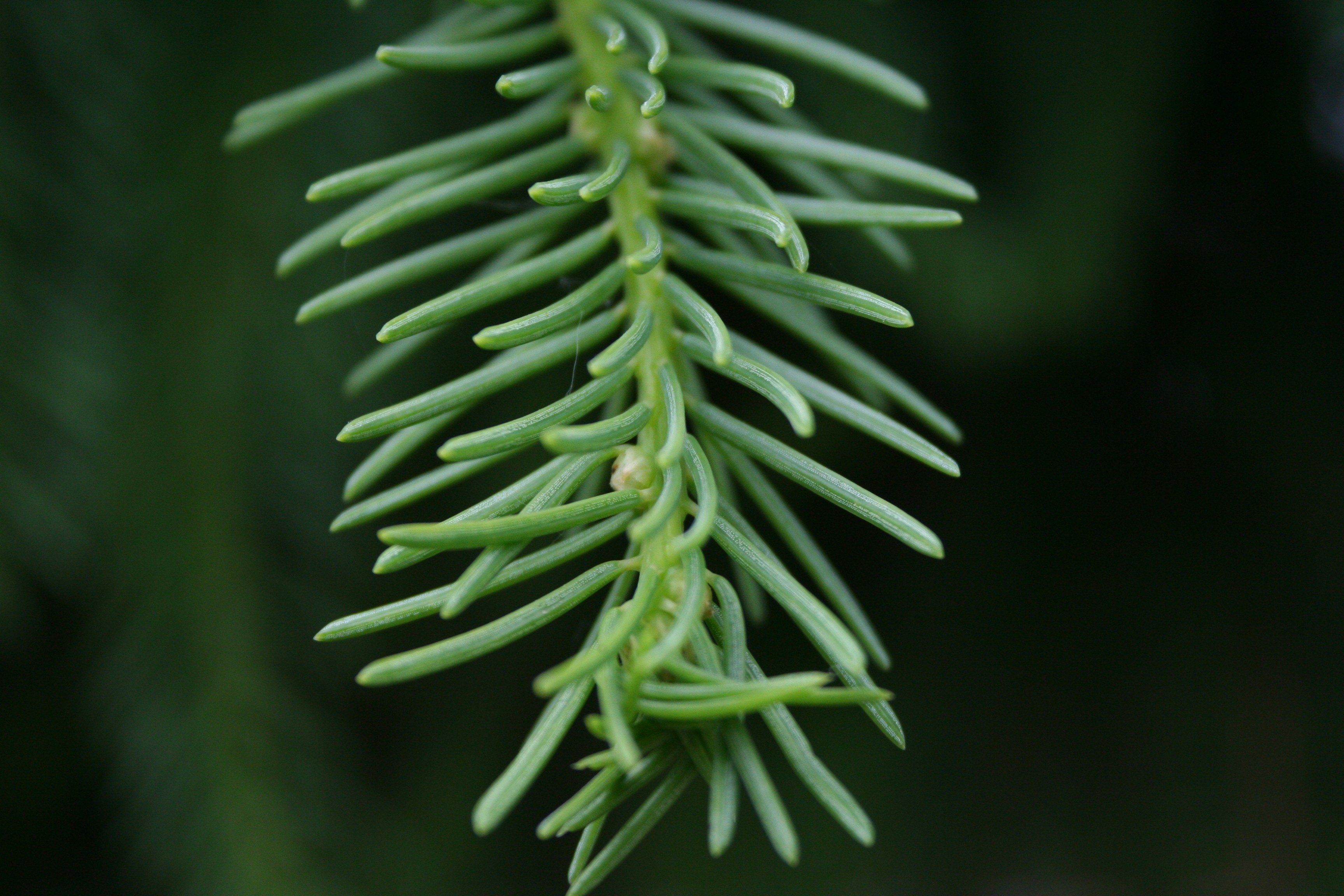 Photo by happyleptic