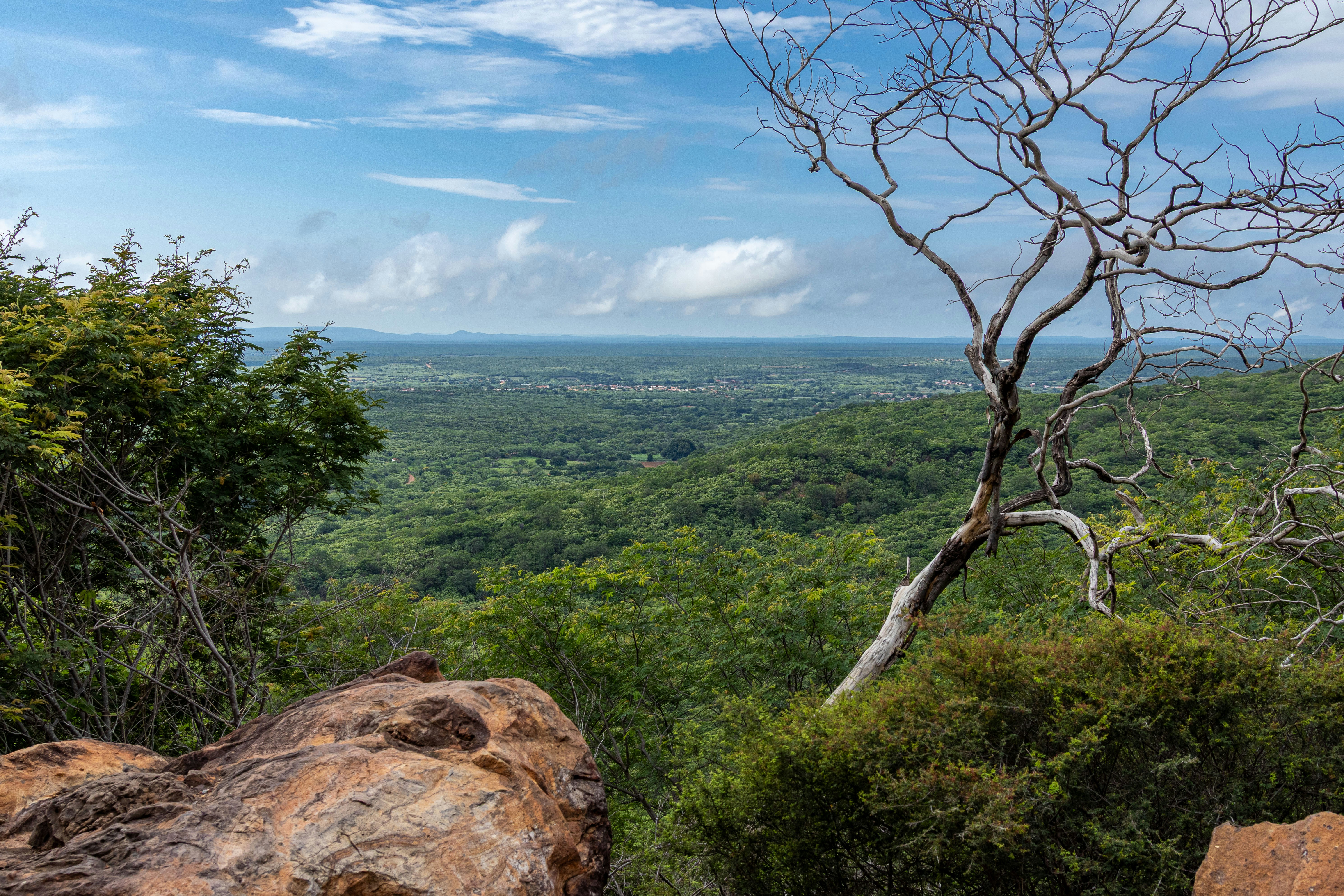 Photo by joelalencar