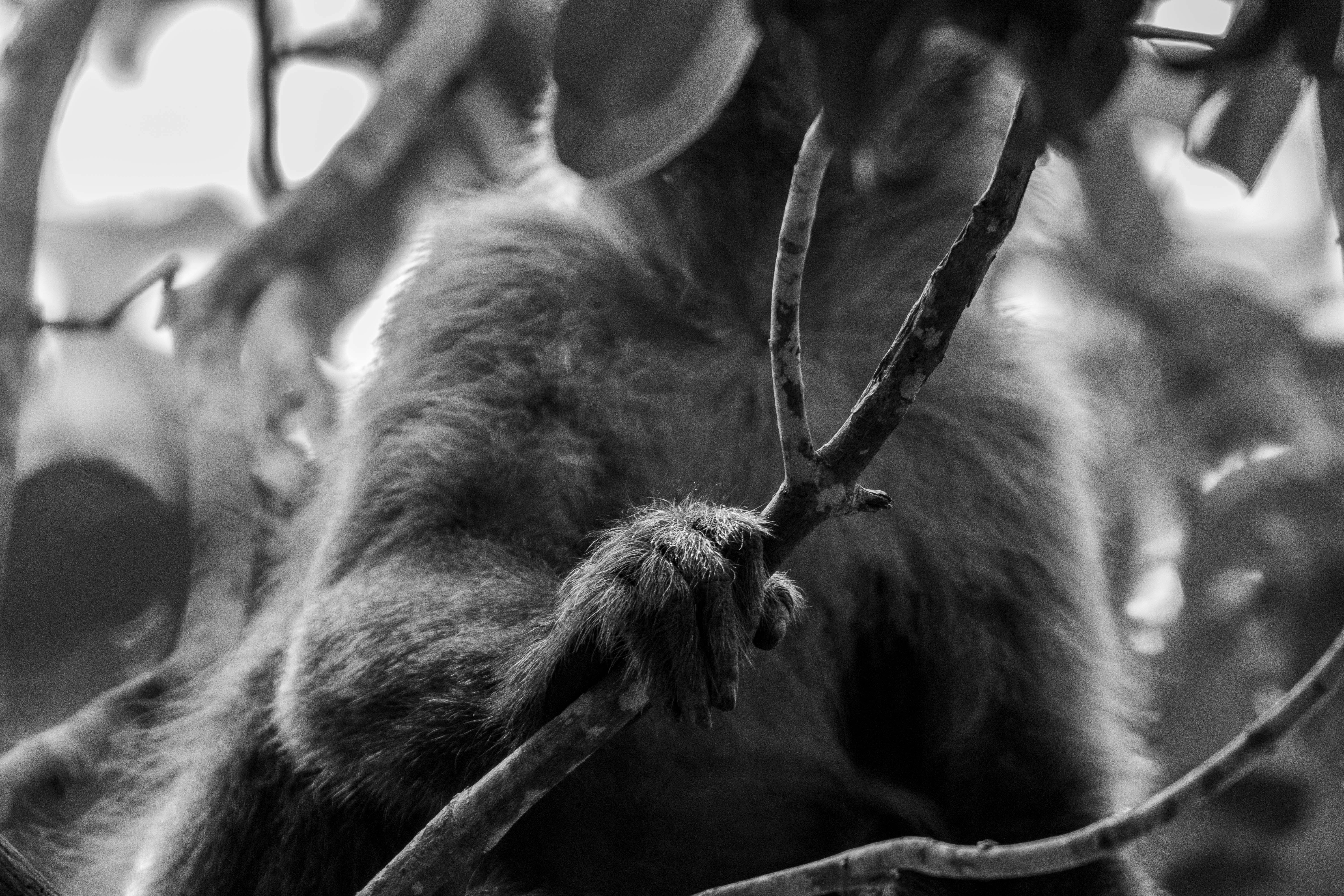 Photo by joelalencar