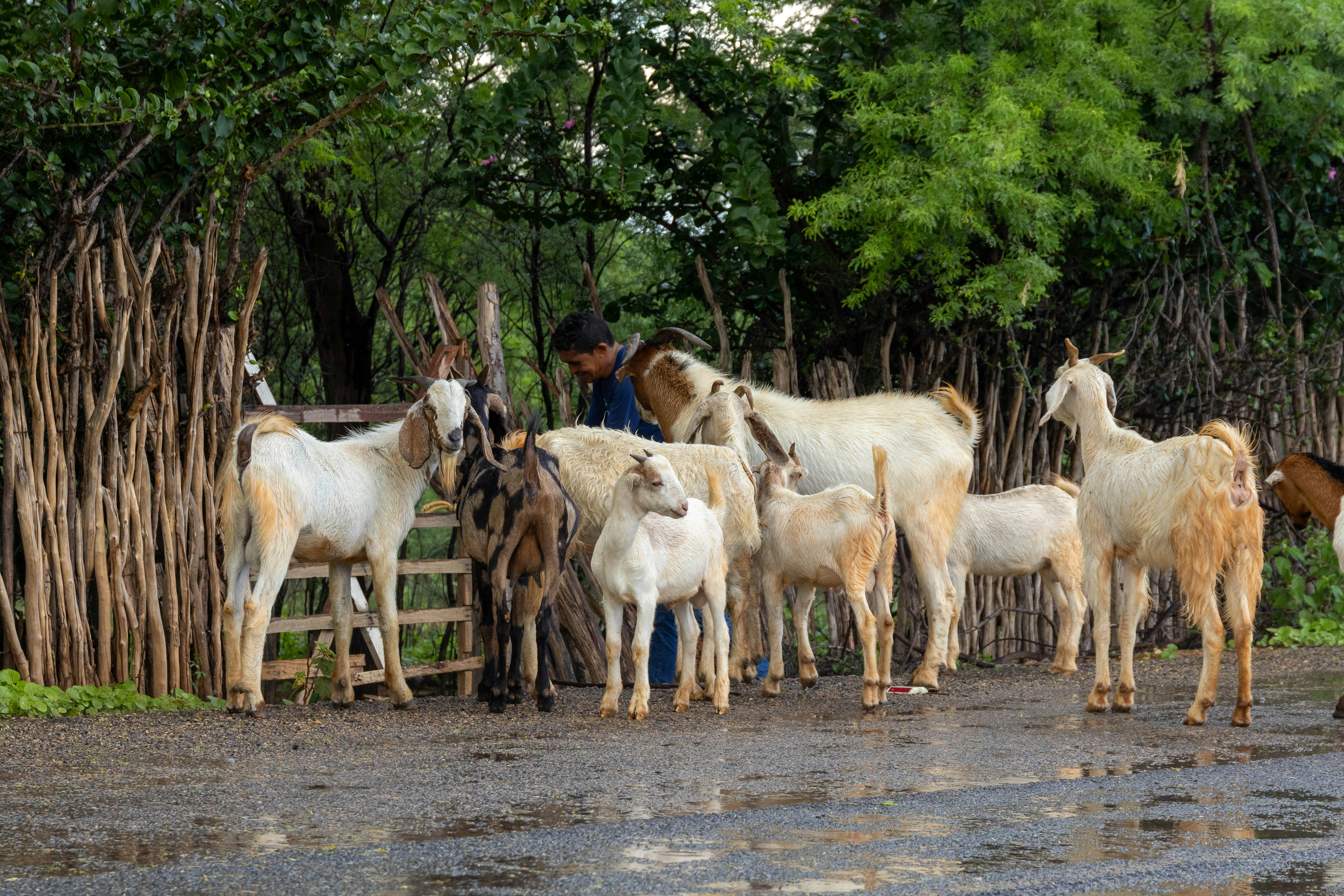 Photo by joelalencar