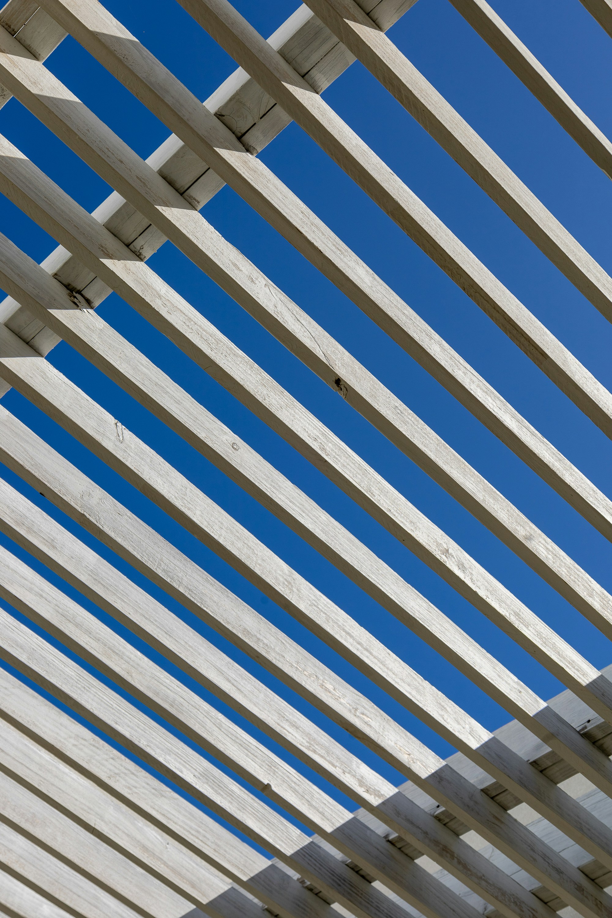 Photo by rosemarymedia