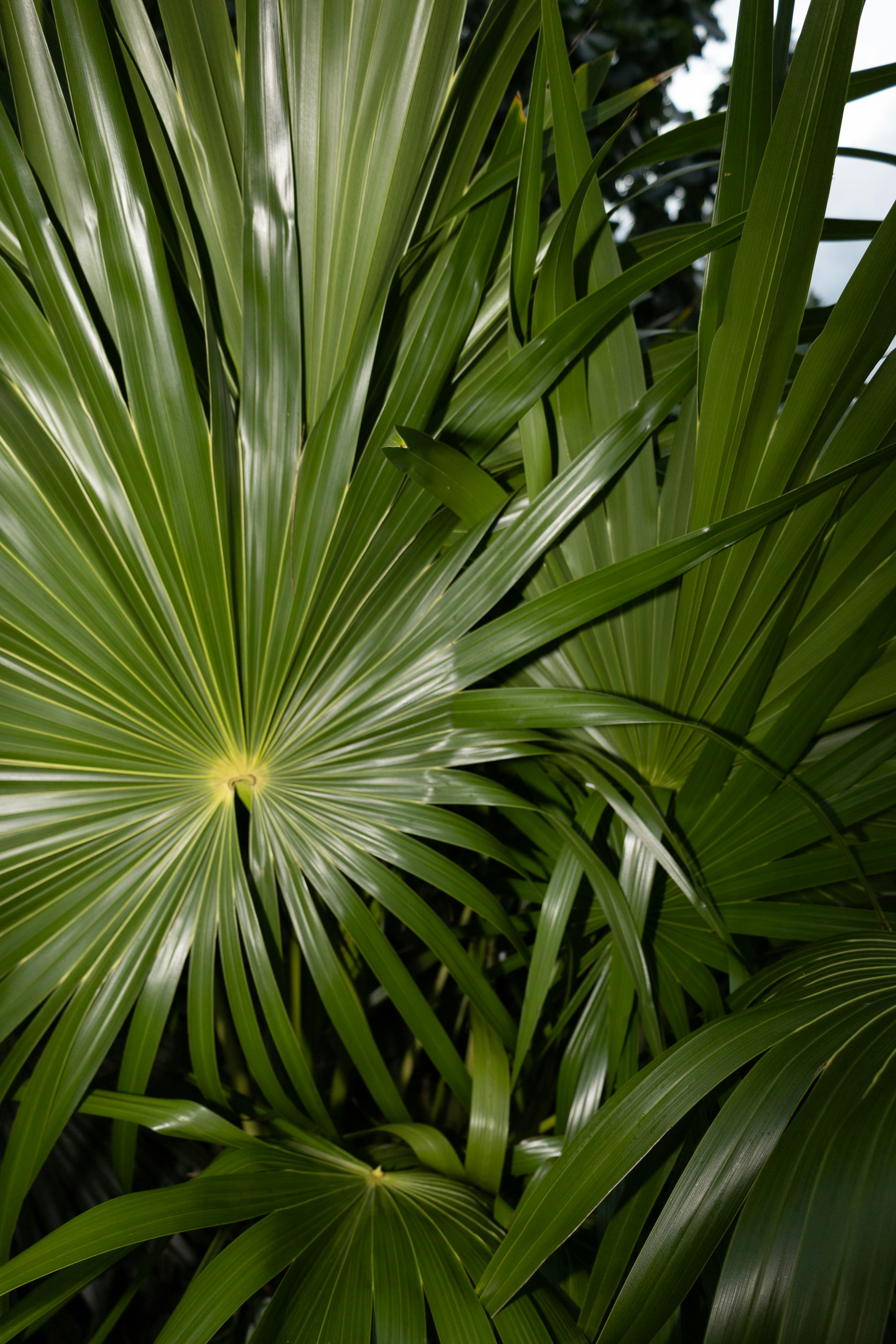 Photo by rosemarymedia