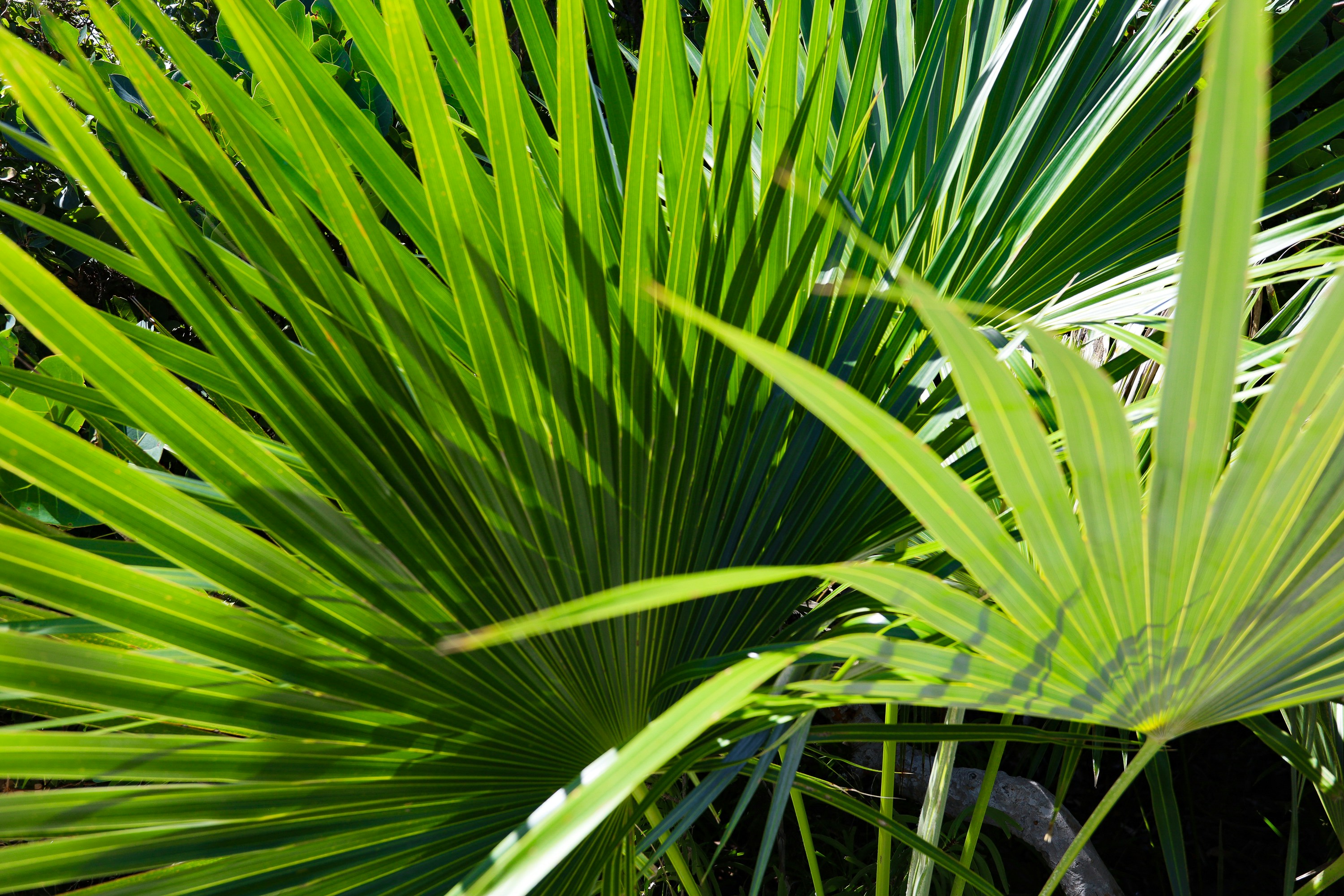 Photo by rosemarymedia