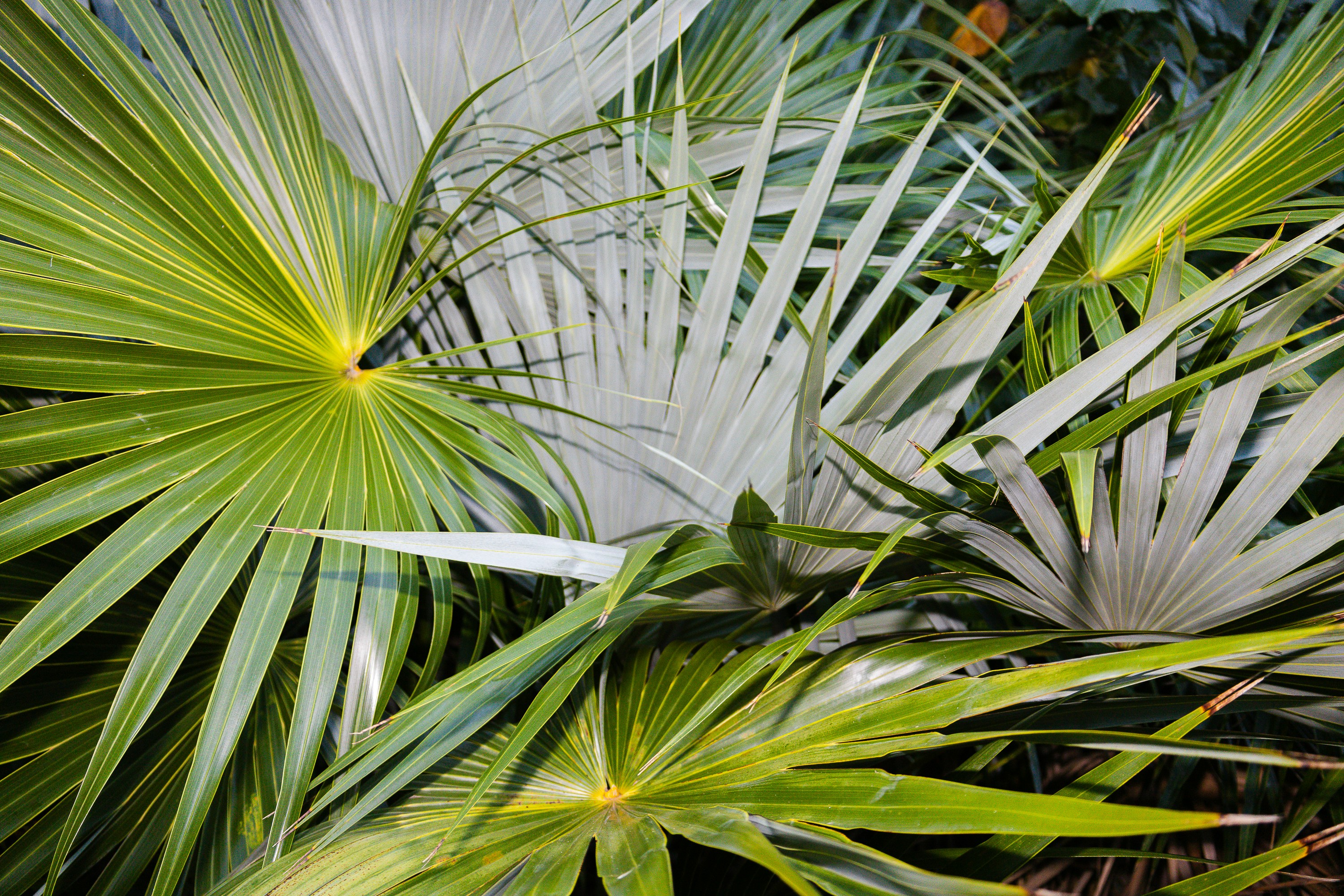 Photo by rosemarymedia