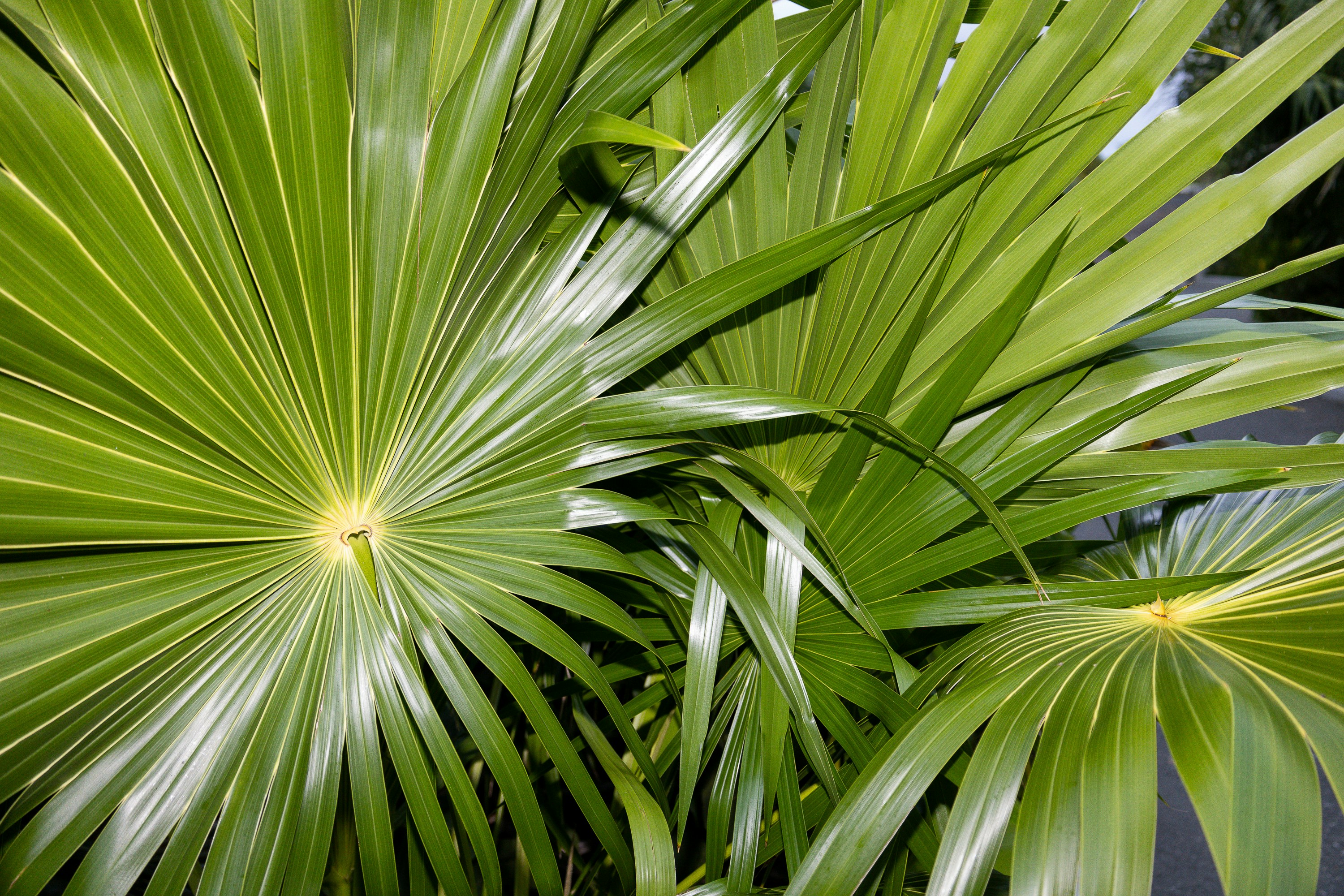 Photo by rosemarymedia