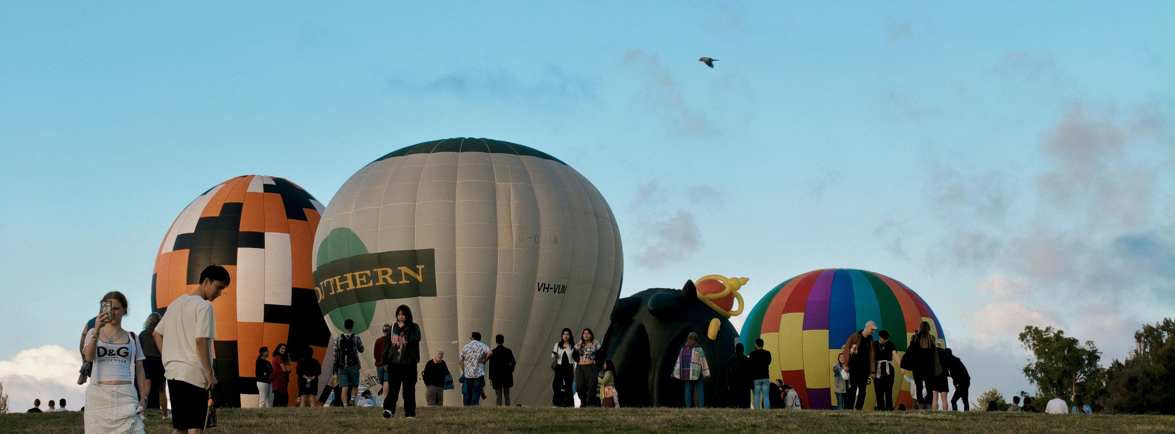 Hot air balloons prepare for launch on a sunny day.