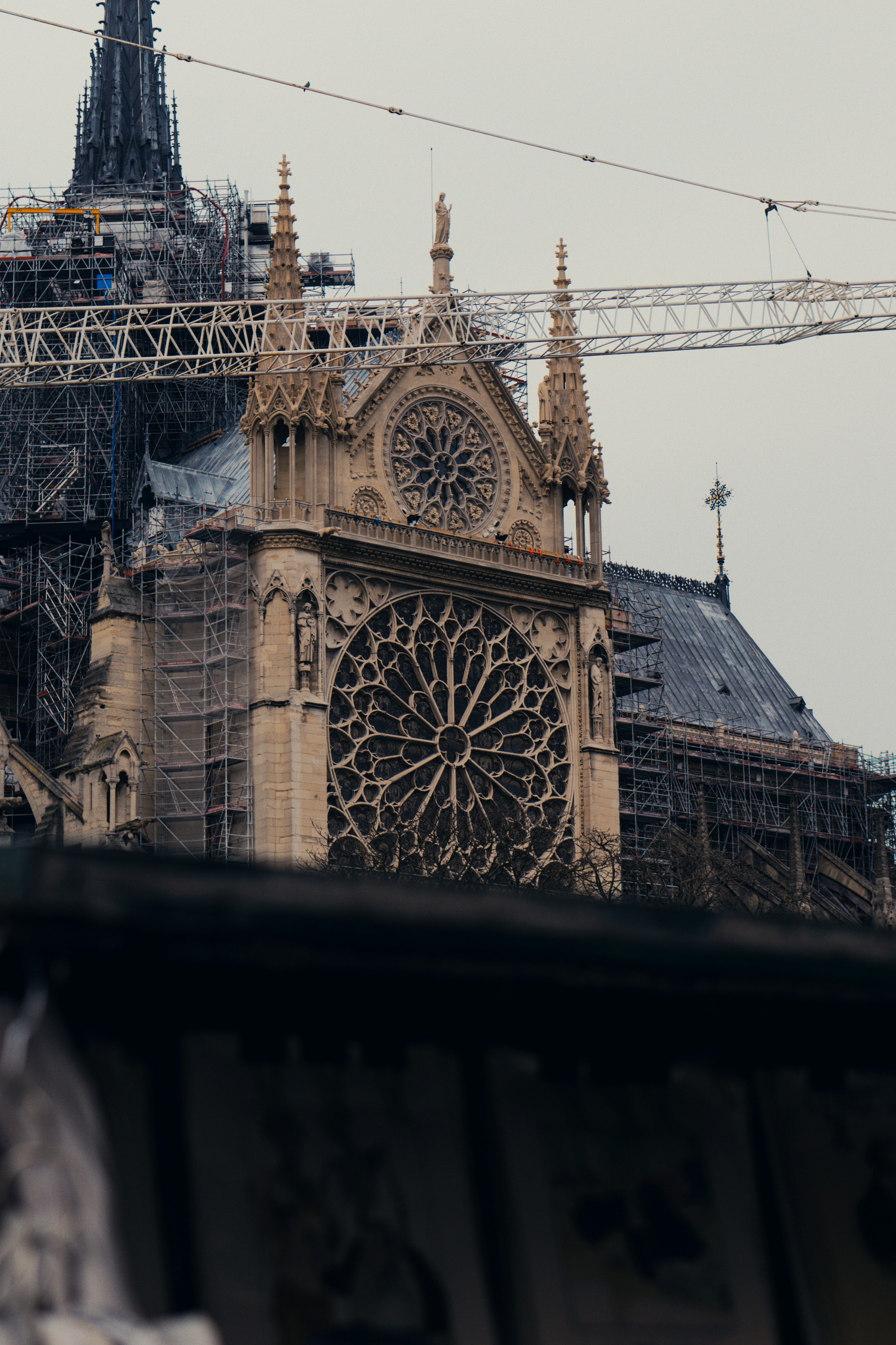 Photo by astashov_artem