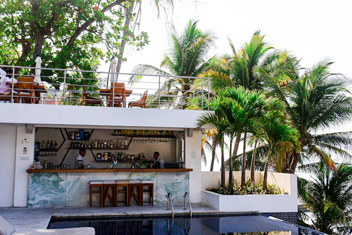 Best Affordable Bars in Salvador Where You Can Actually Afford a Round