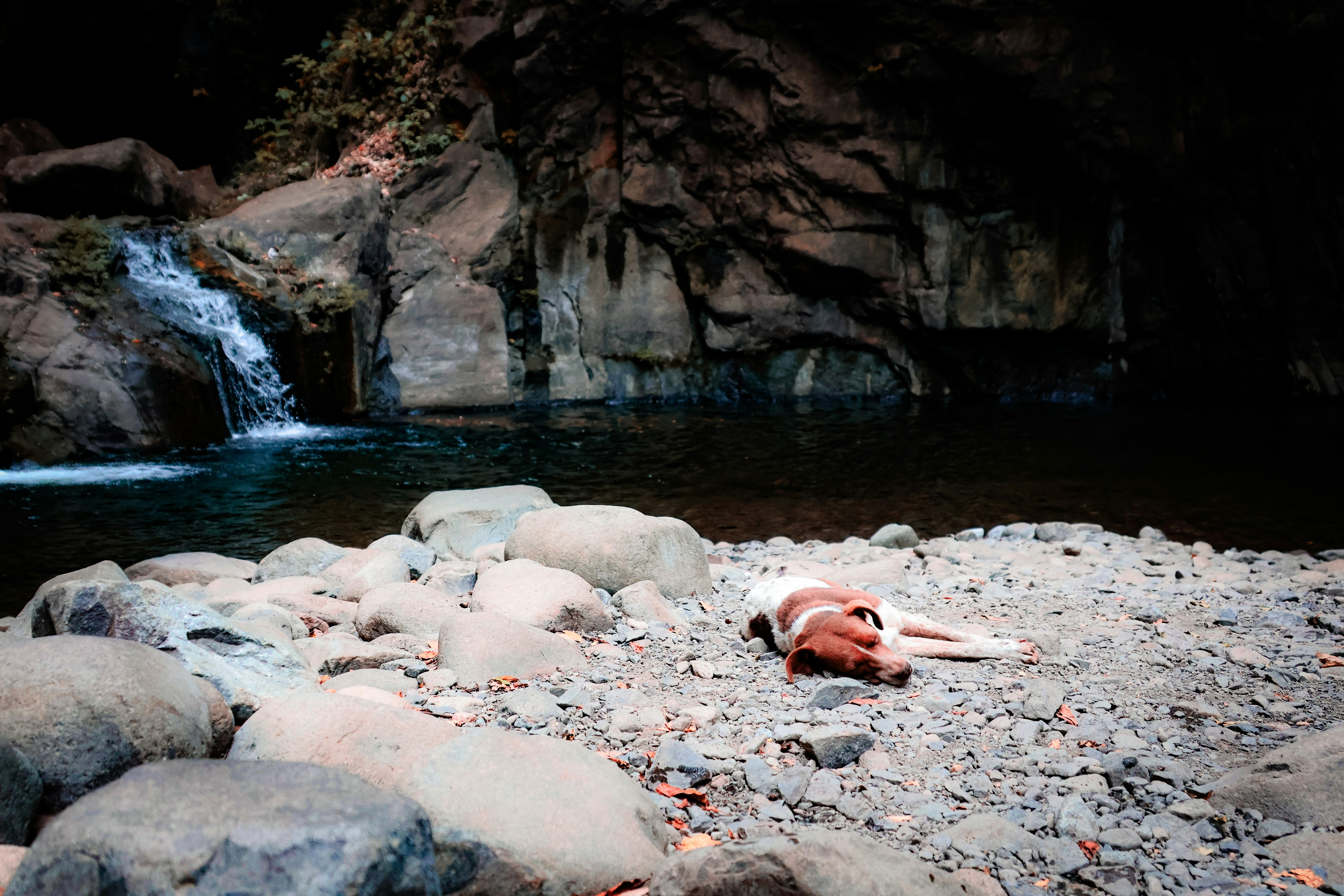 Photo by traveleroohlala