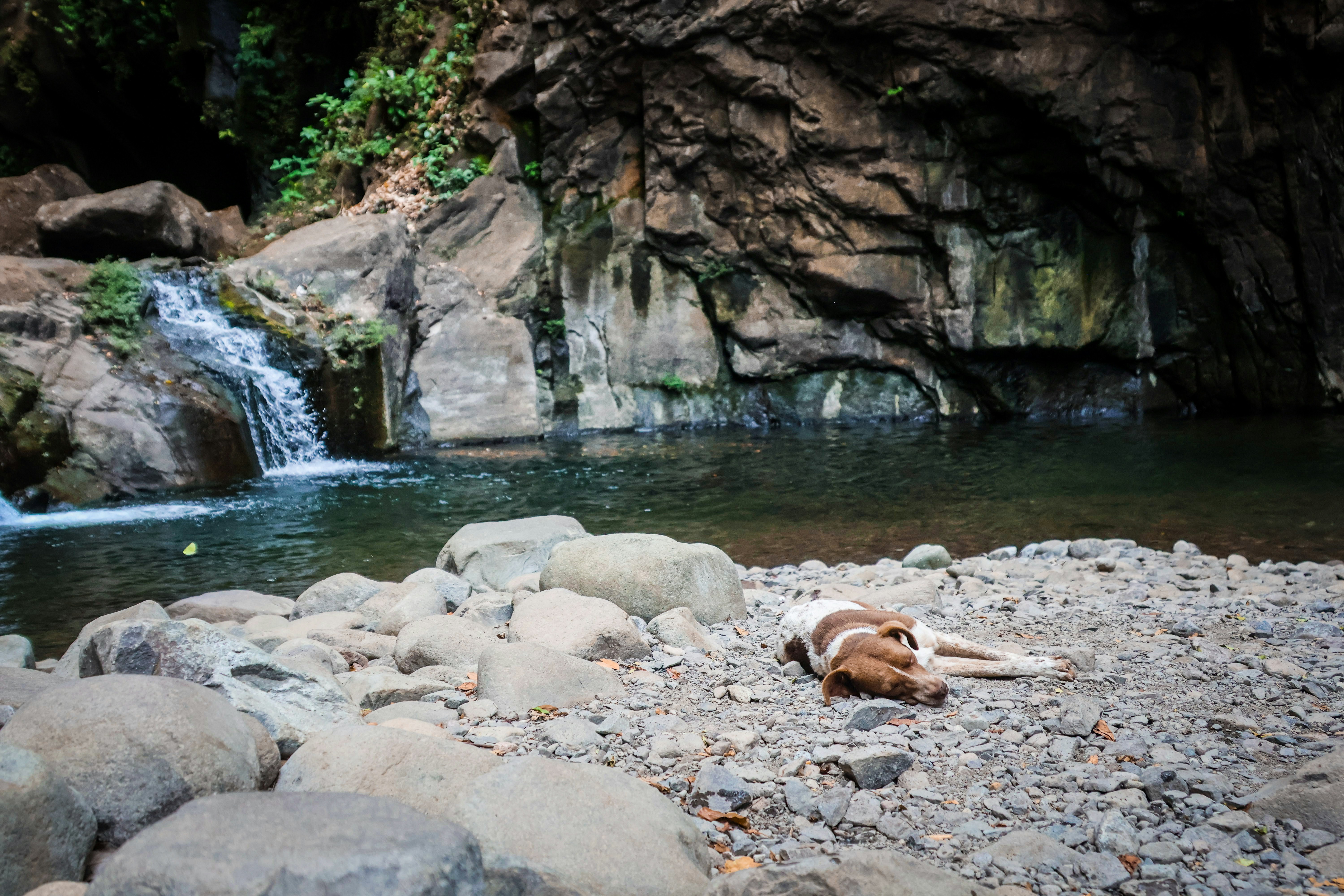 Photo by traveleroohlala