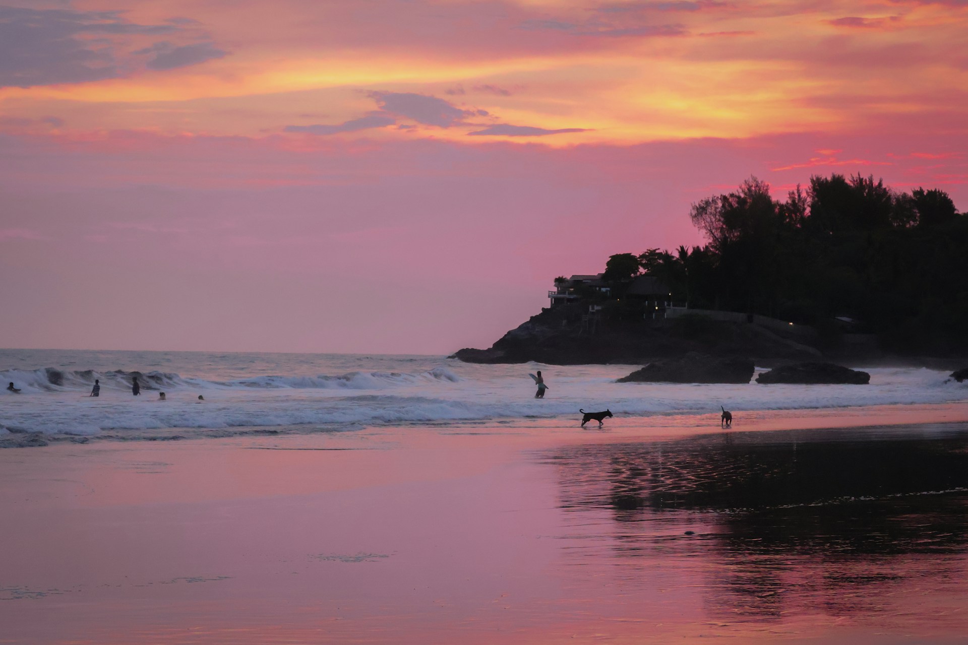 Beautiful sunset over a tranquil beach with people and dogs.