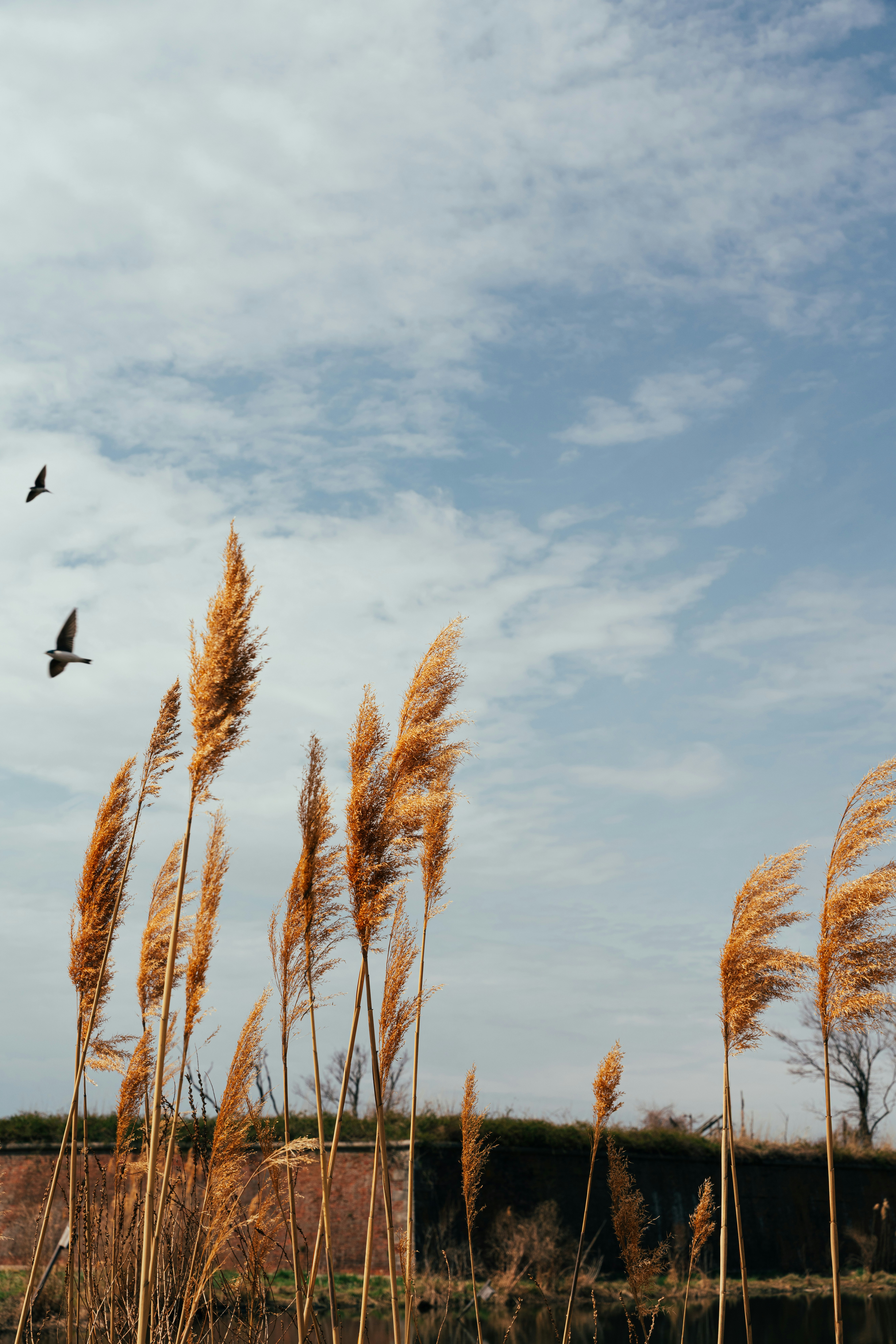 Photo by nellie_adamyan