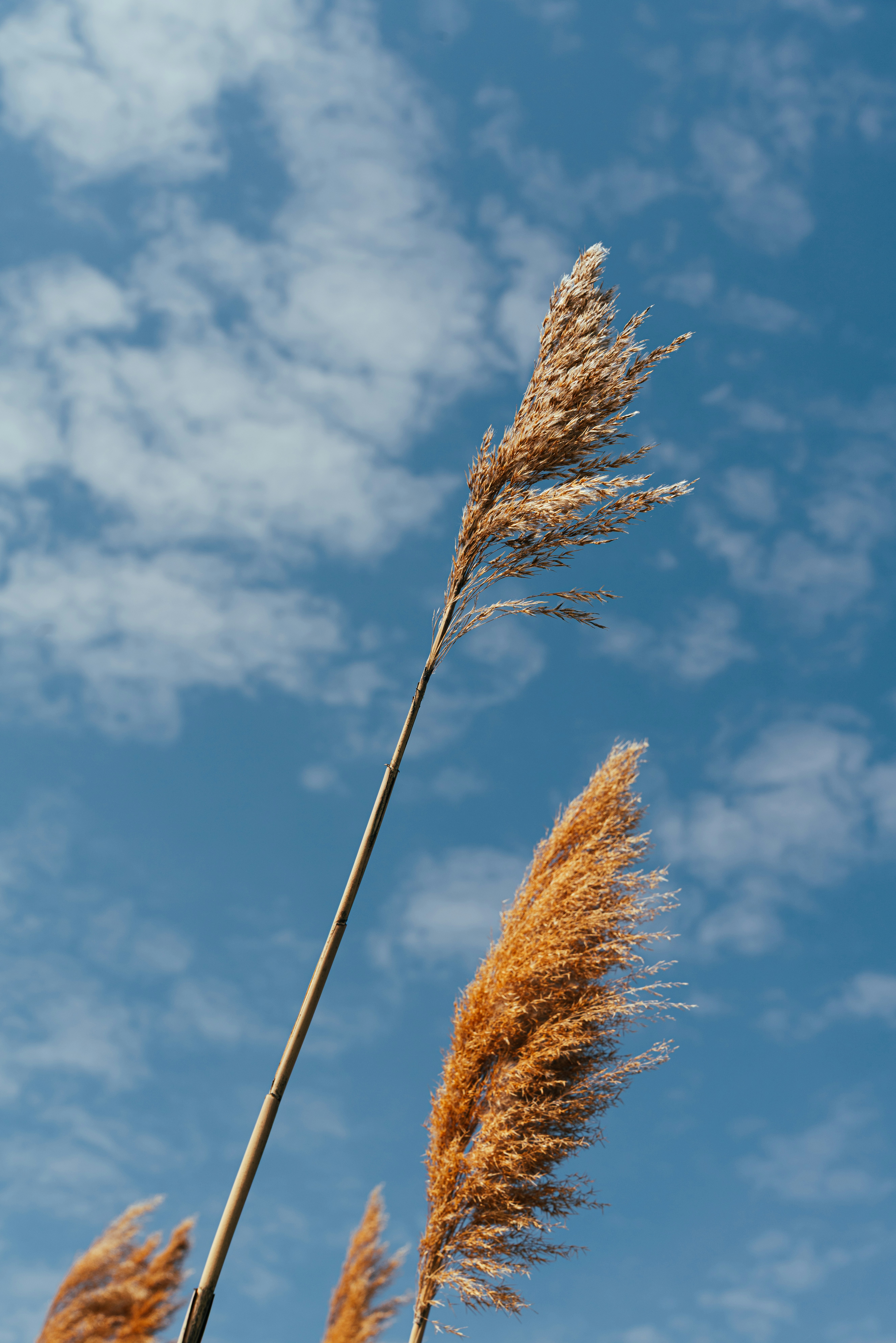 Photo by nellie_adamyan