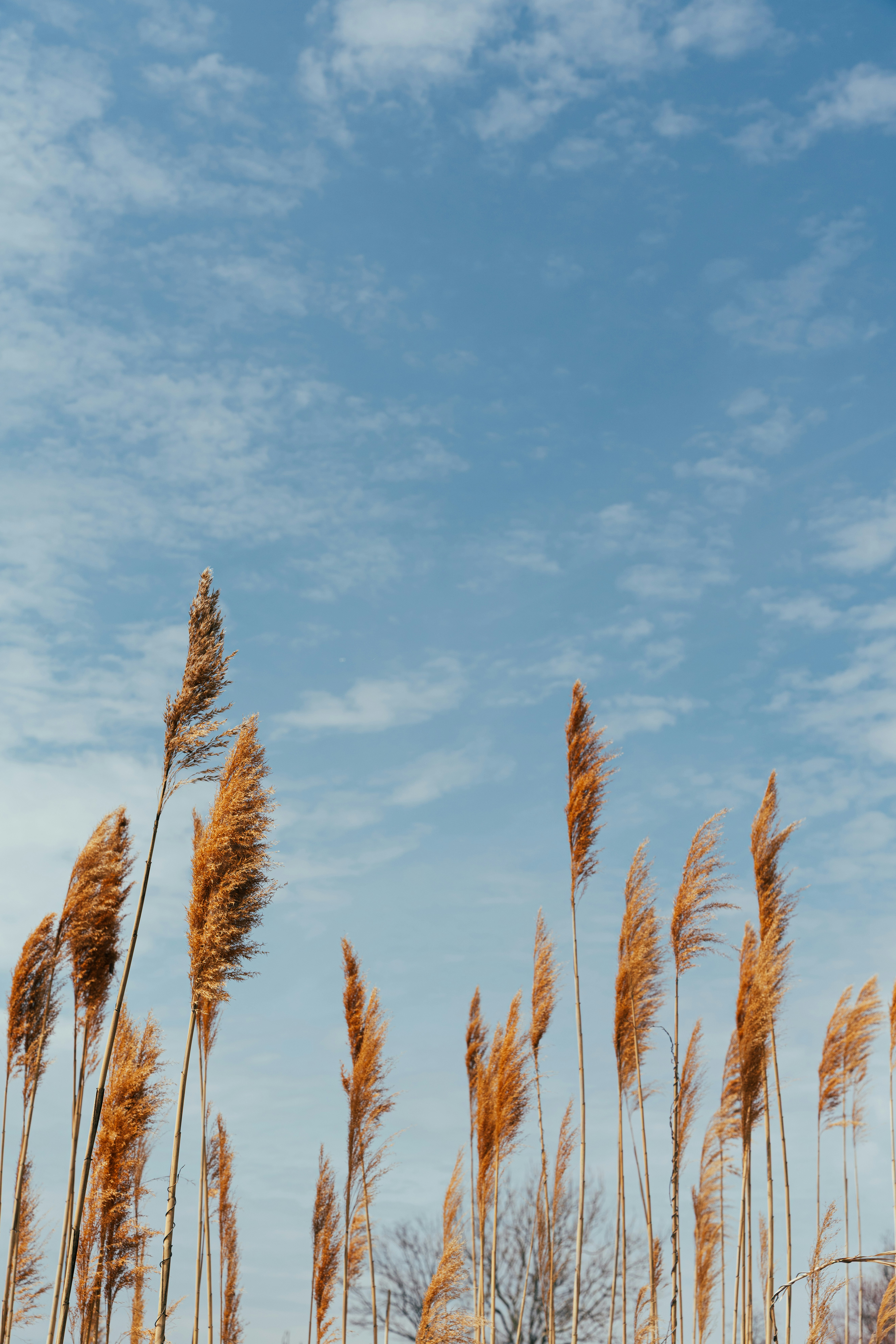 Photo by nellie_adamyan