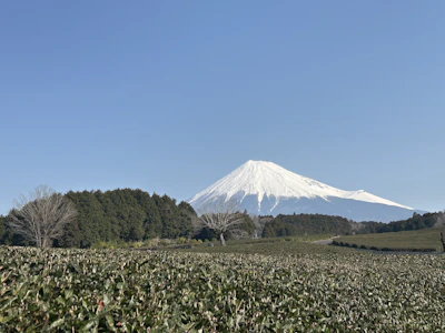 【2026年最新】関東一人旅おすすめスポット15選｜日帰り5,000円から楽しめる癒しの旅プラン