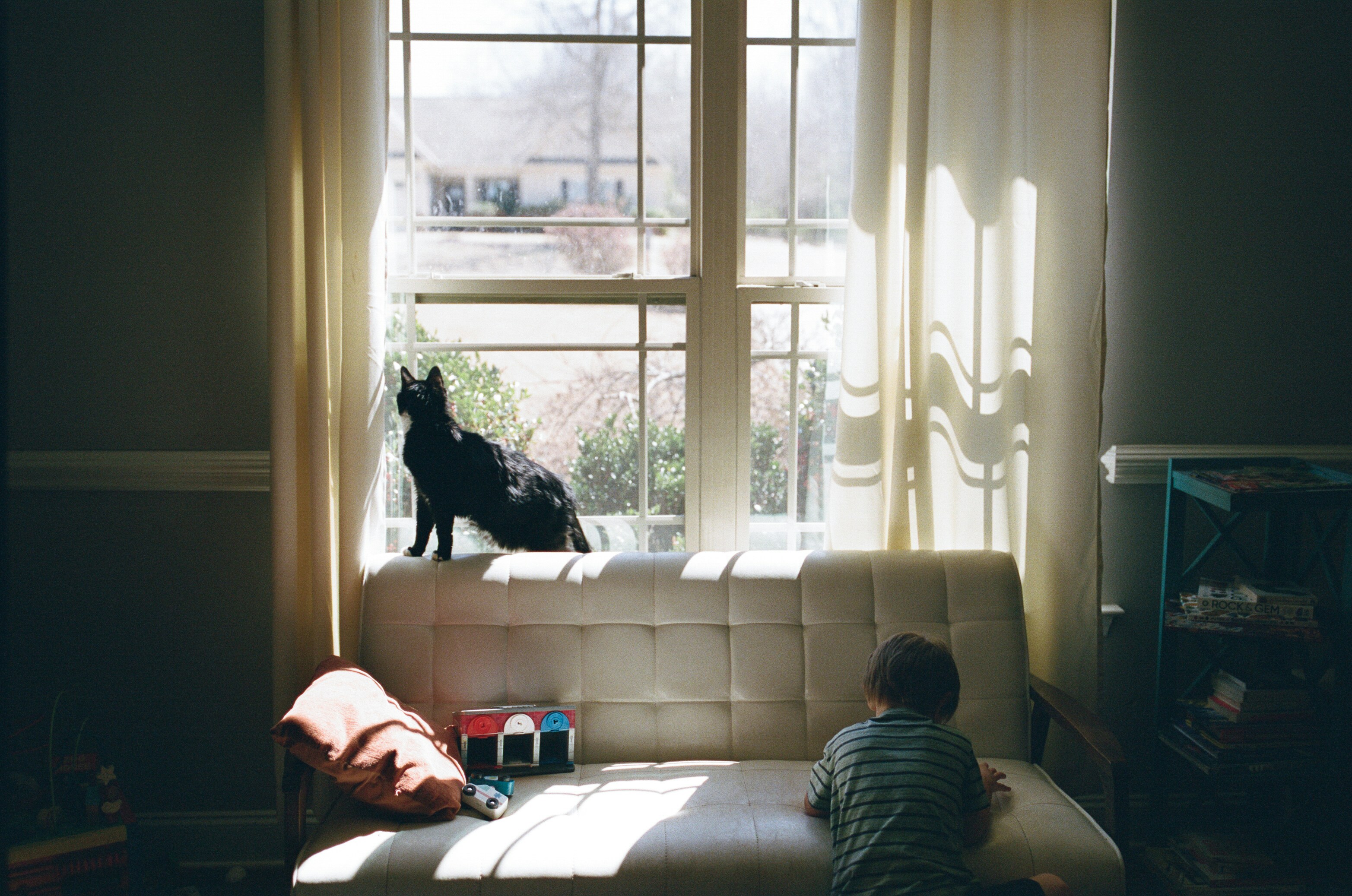 Calm Energy Attracts Sensitive Souls (image credits: unsplash)