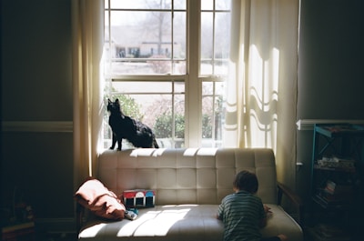 A black cat looks out the window.